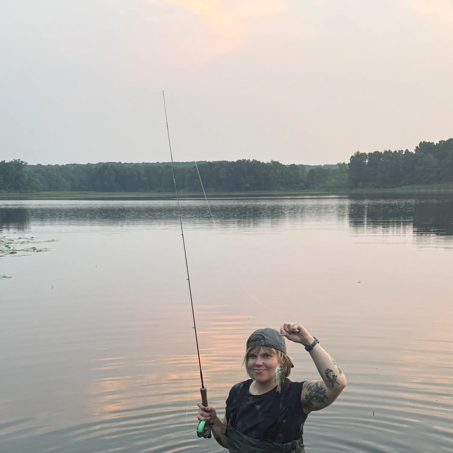Bluegill caught on Fishbrain
