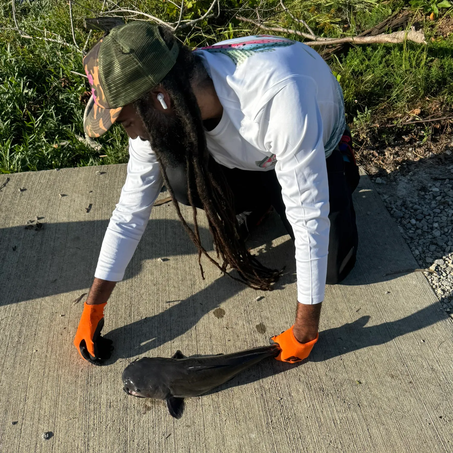 Channel catfish caught on Fishbrain
