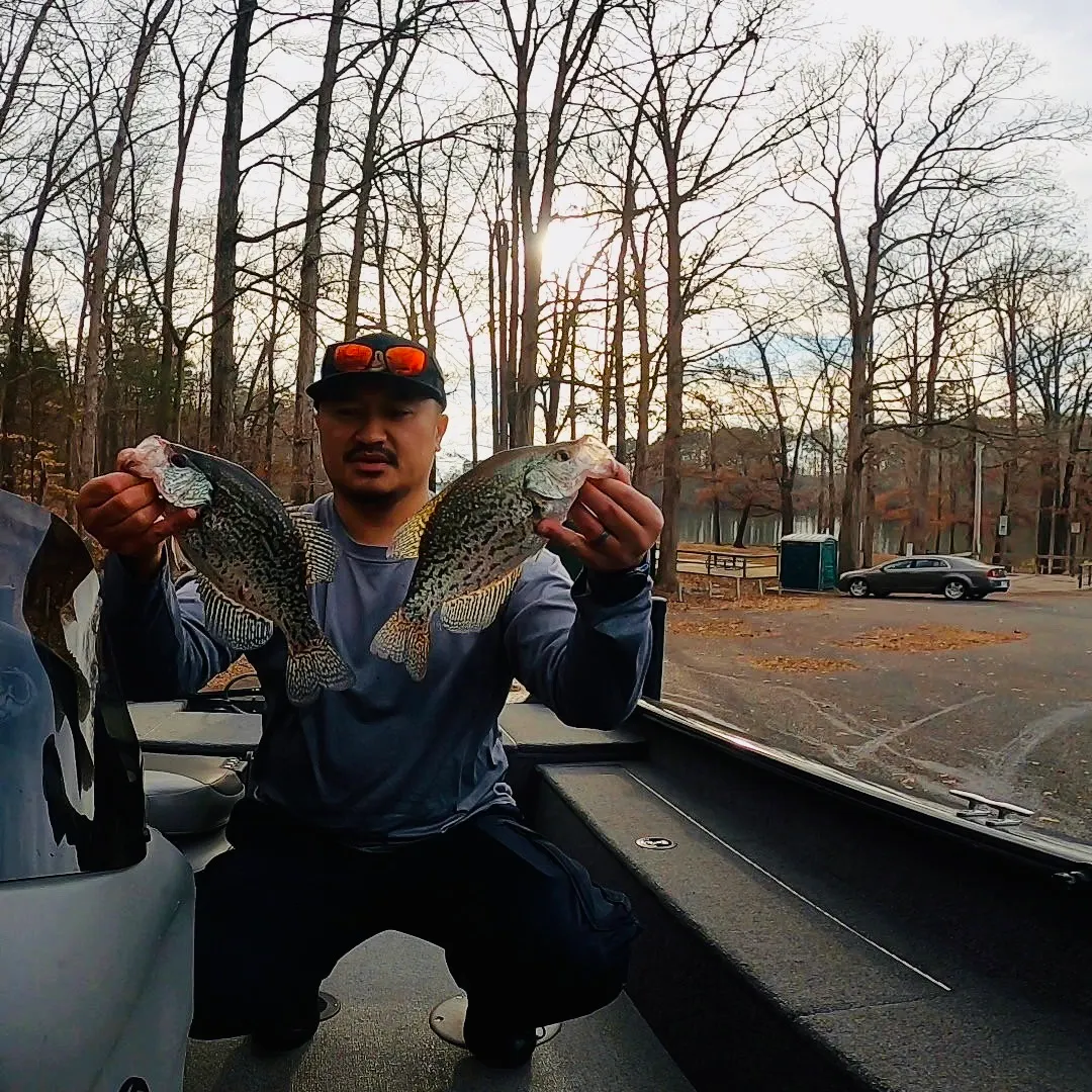 The most recent Black crappie catches on Fishbrain