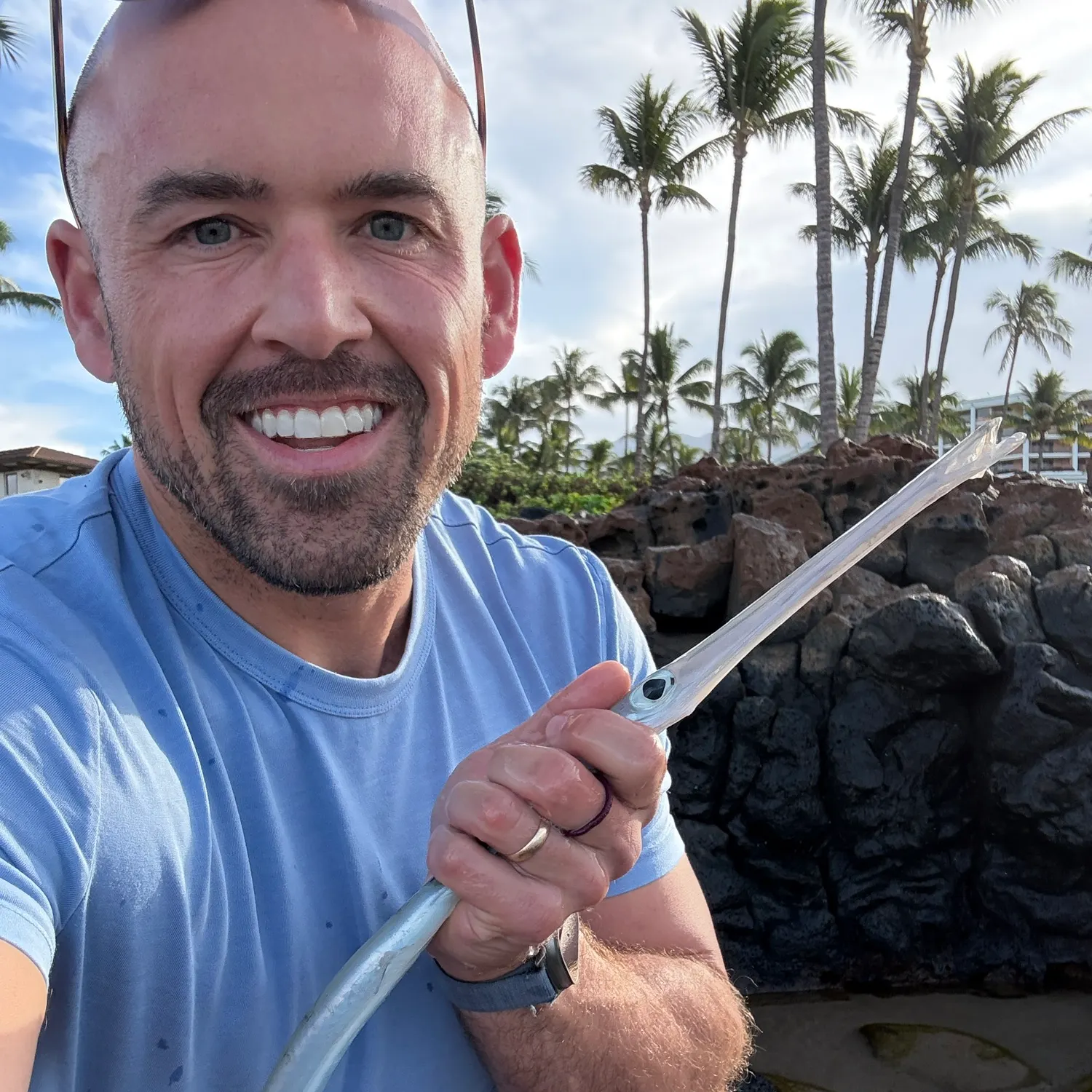 The most recent Bluespotted cornetfish catches on Fishbrain