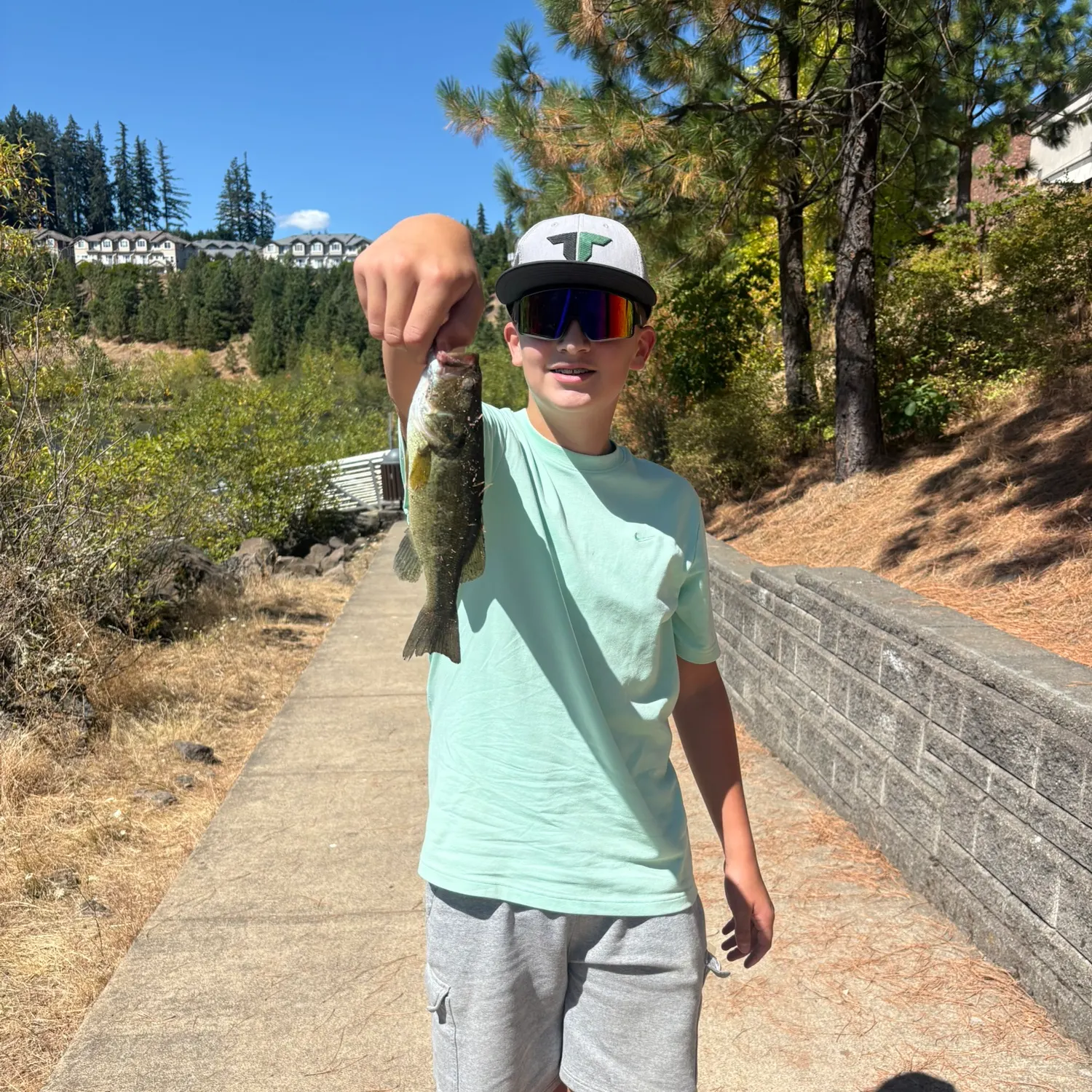 catch