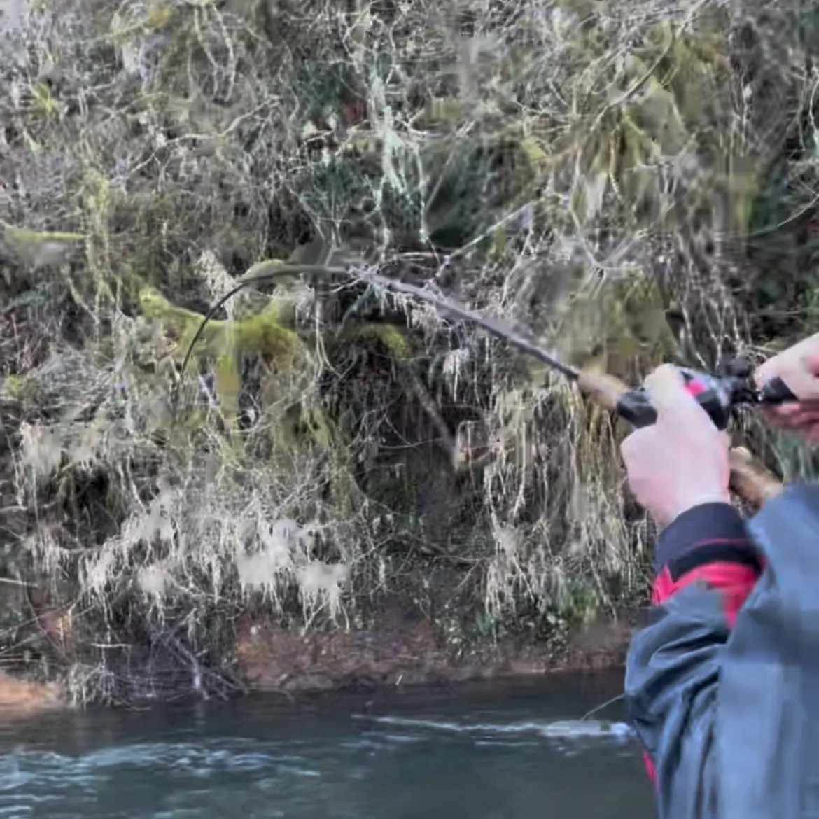 The most recent Coastal cutthroat trout catches on Fishbrain