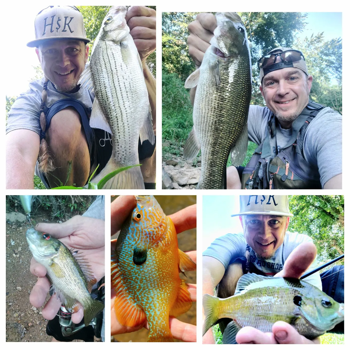 recently logged catches