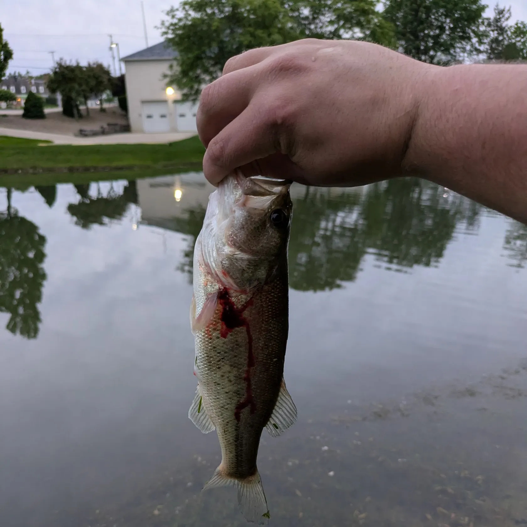 catch