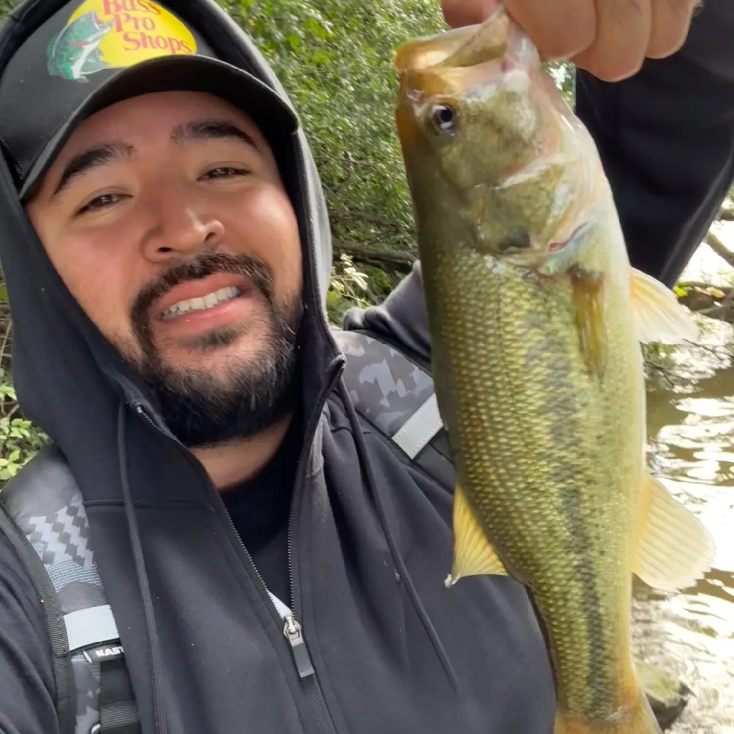 Largemouth bass caught on Fishbrain