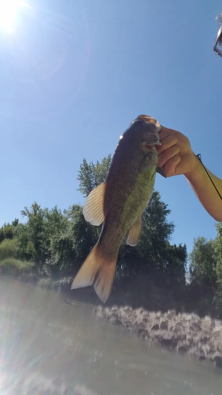 Post image from RiverRecon