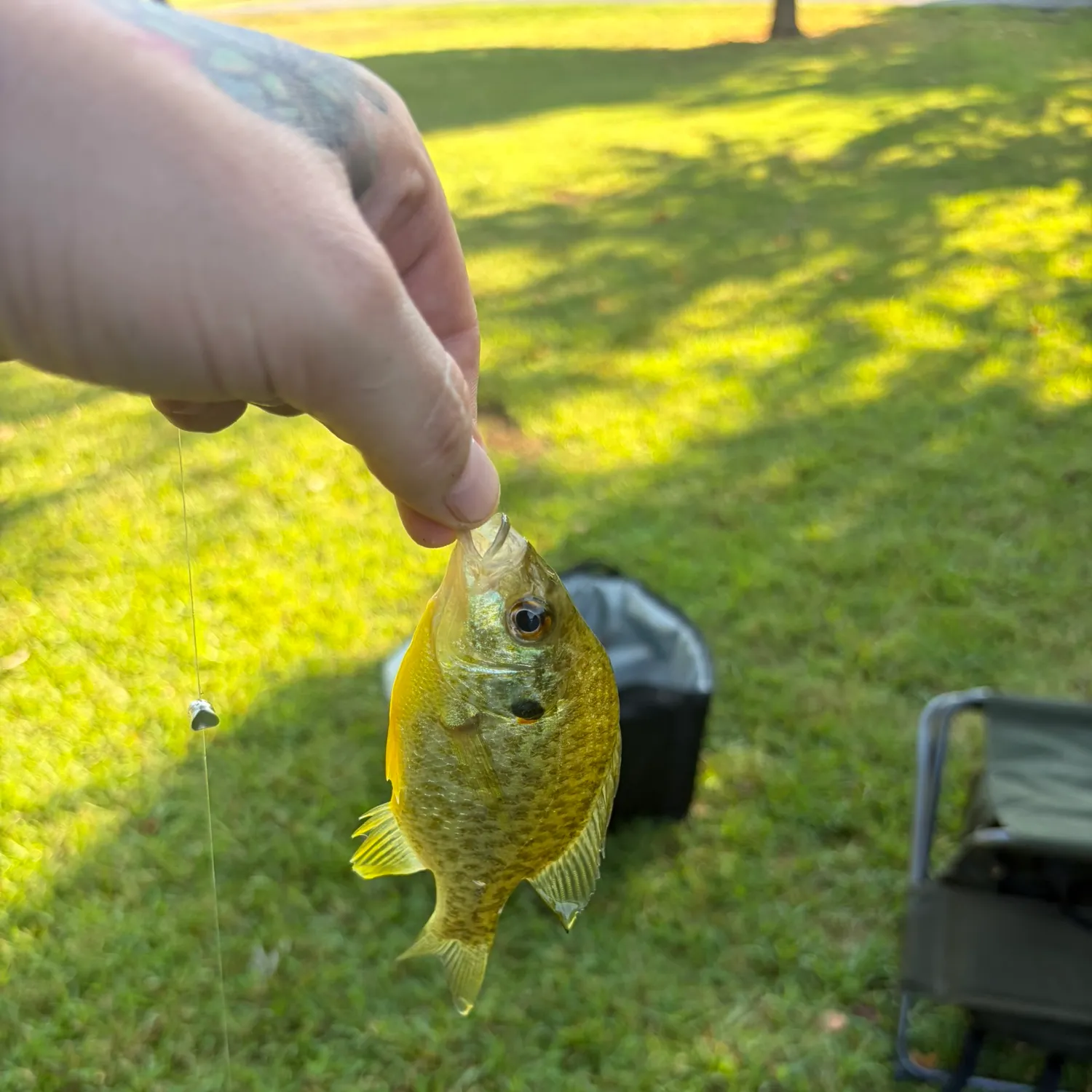 catch