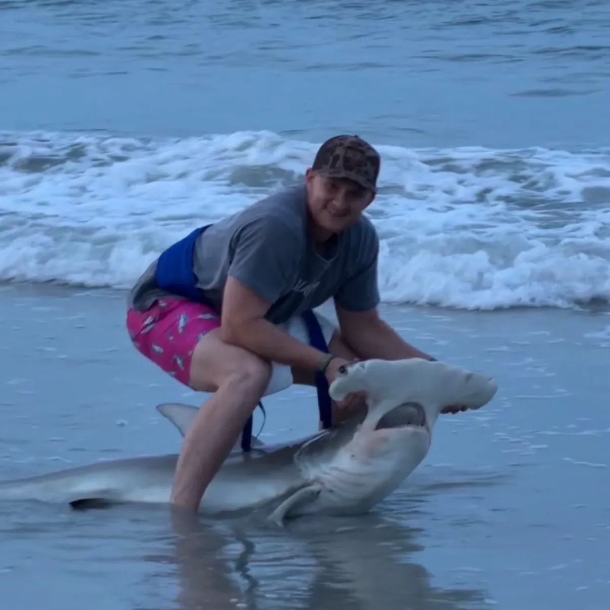 The most recent Great hammerhead shark catches on Fishbrain