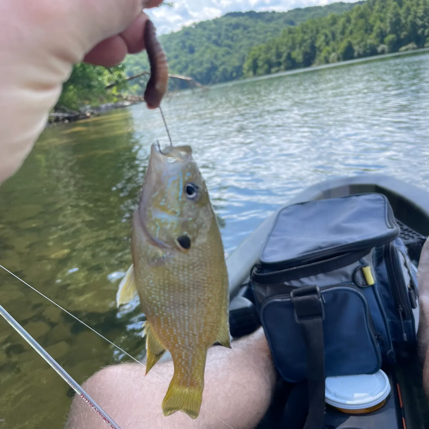 angler catch