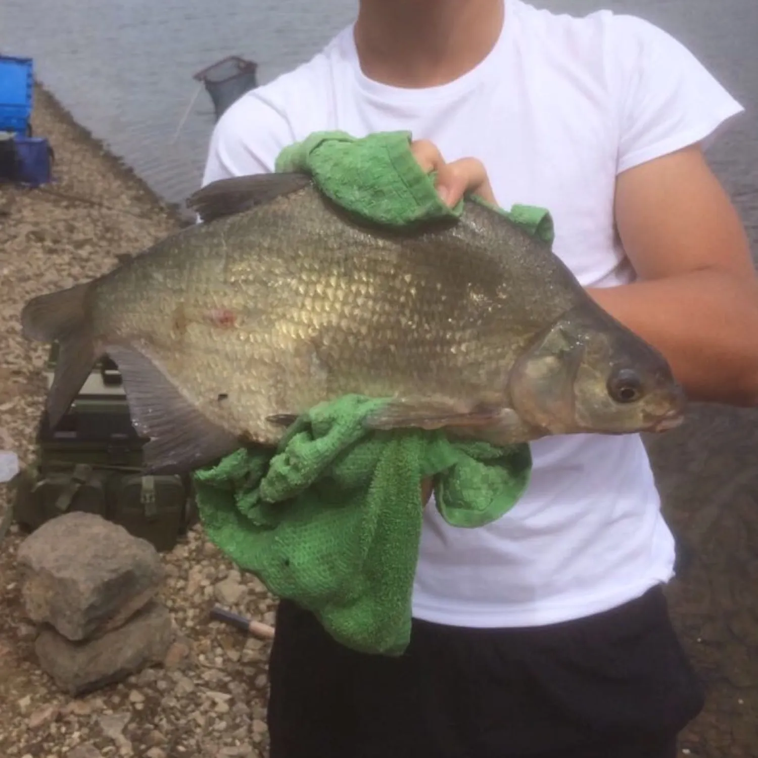 Common bream caught on Fishbrain