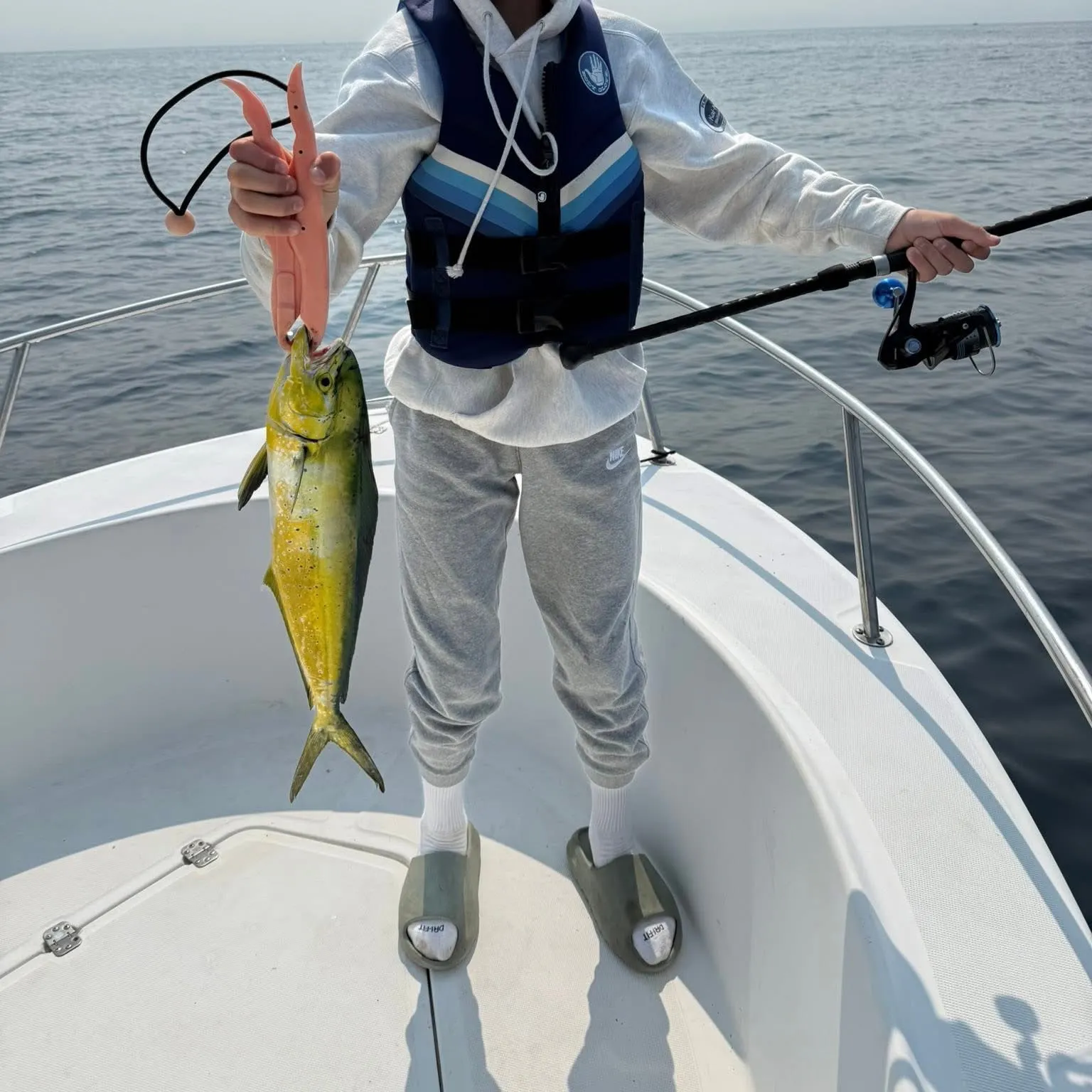 The most recent Common dolphinfish catches on Fishbrain