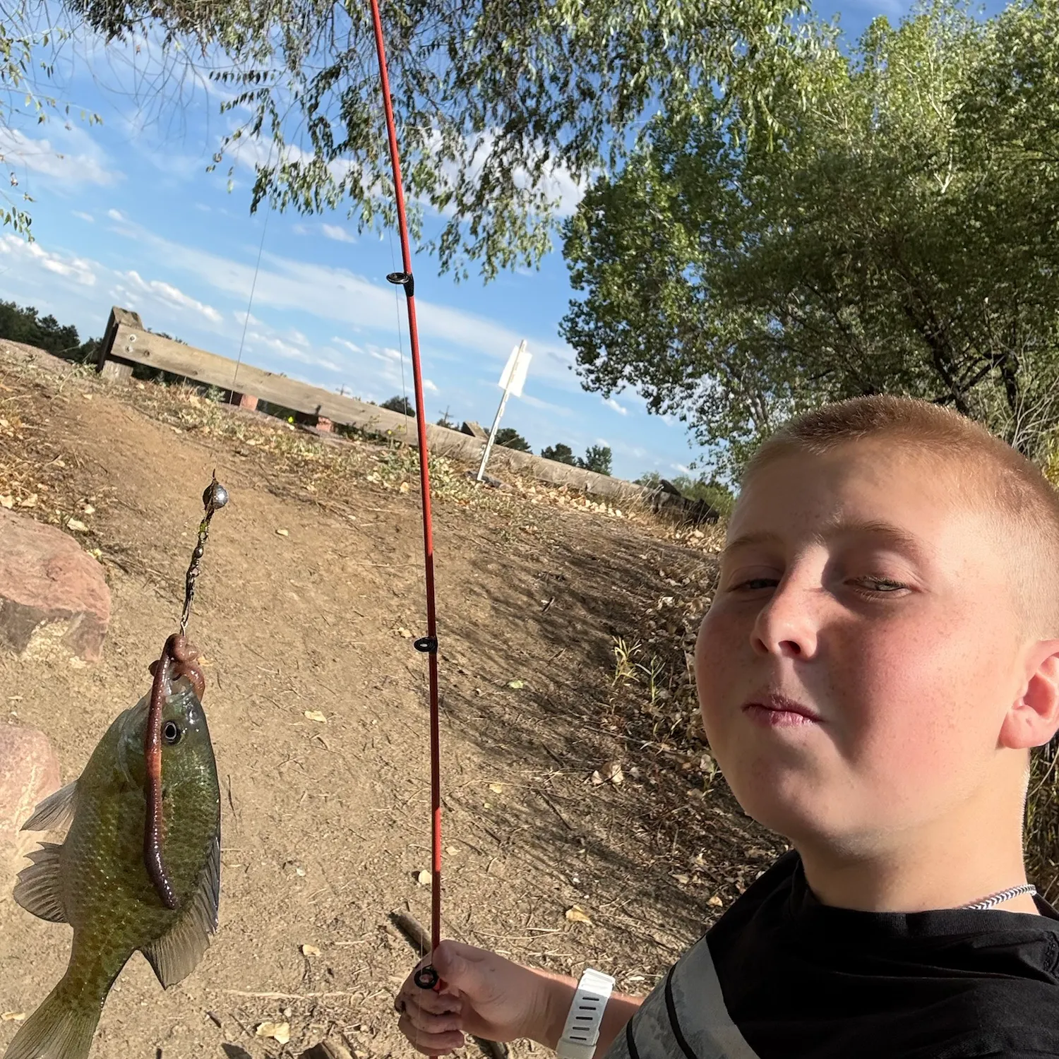 Bluegill caught on Fishbrain