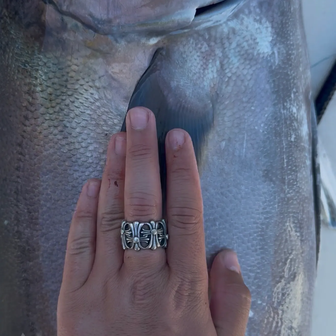 The most recent Greater amberjack catches on Fishbrain