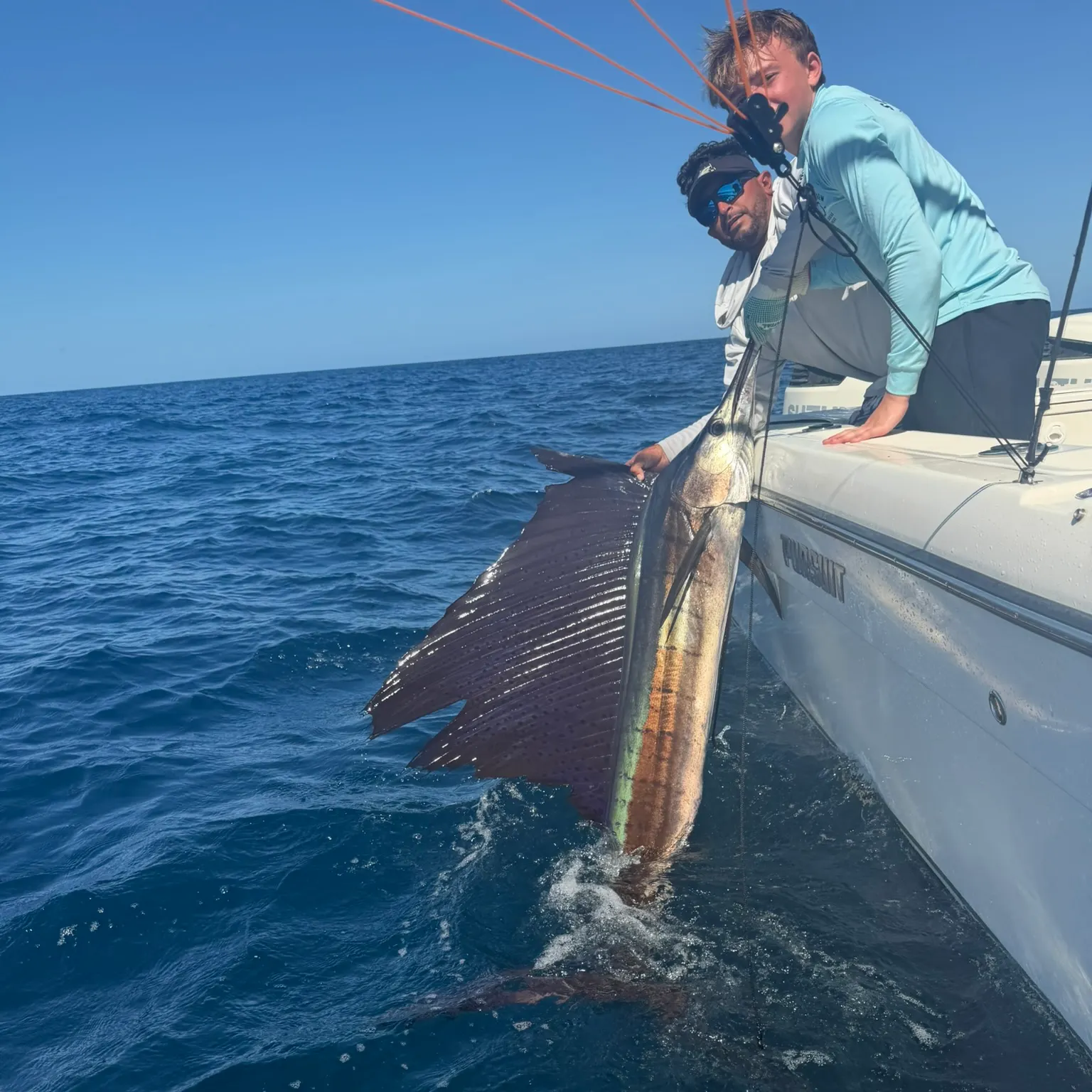 The most recent Atlantic sailfish catches on Fishbrain