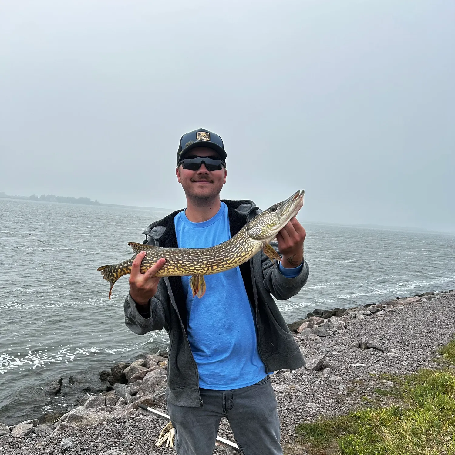 Northern pike caught on Fishbrain