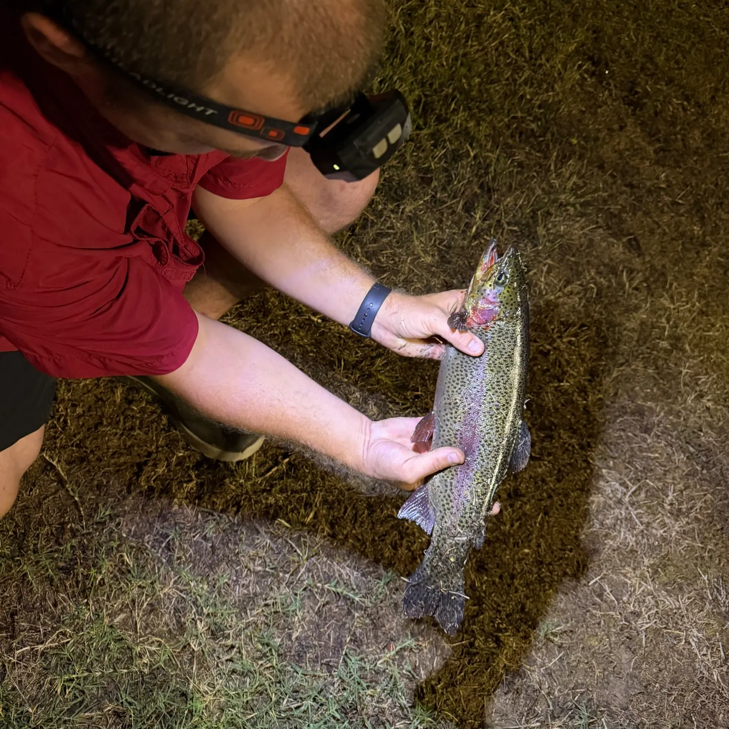 Rainbow trout caught on Fishbrain