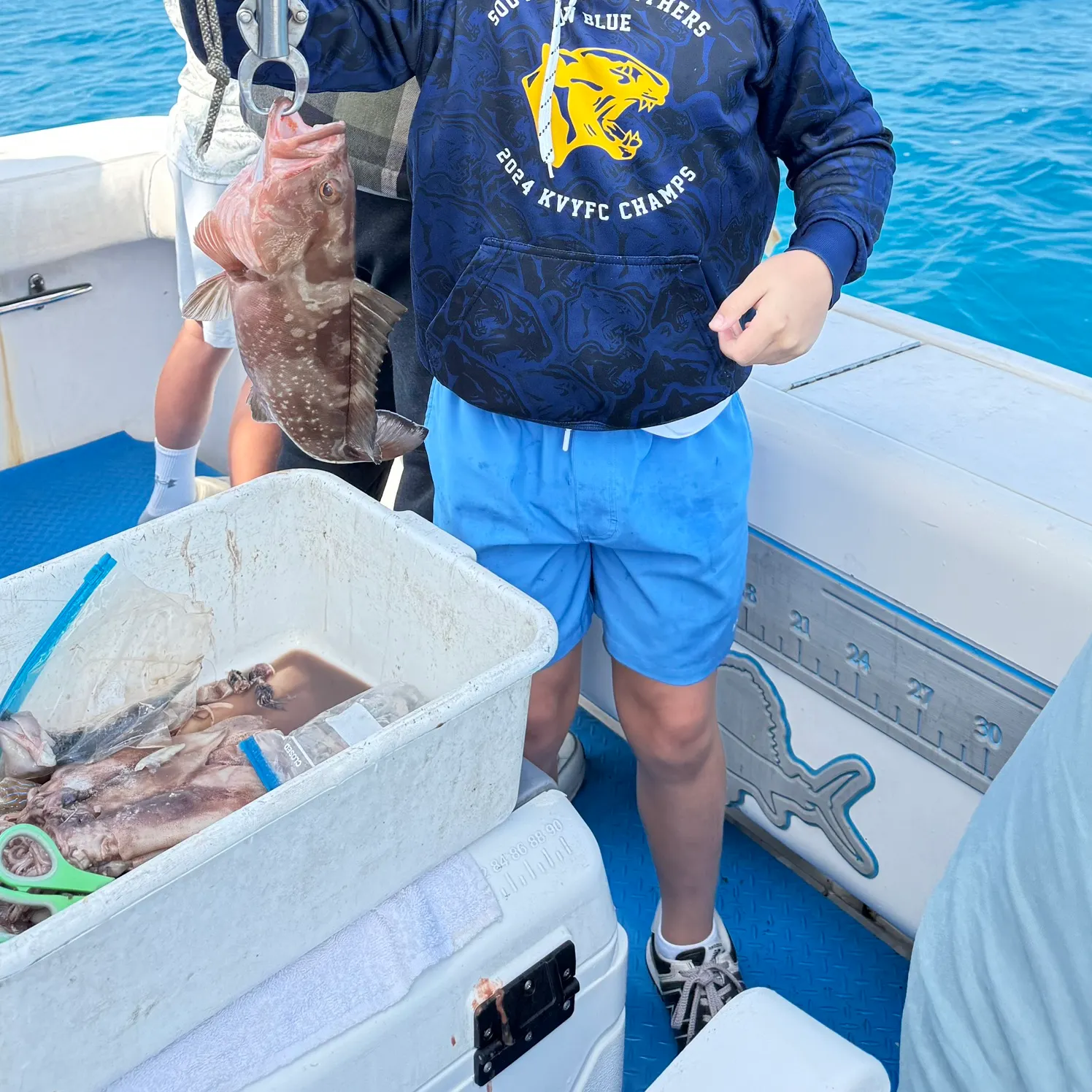 The most recent Red grouper catches on Fishbrain