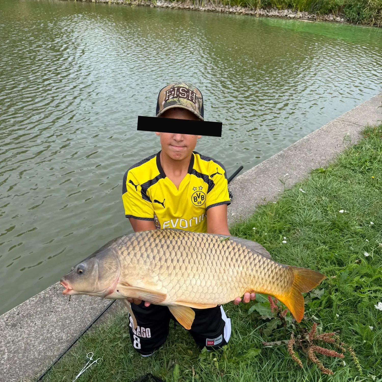Common carp caught on Fishbrain