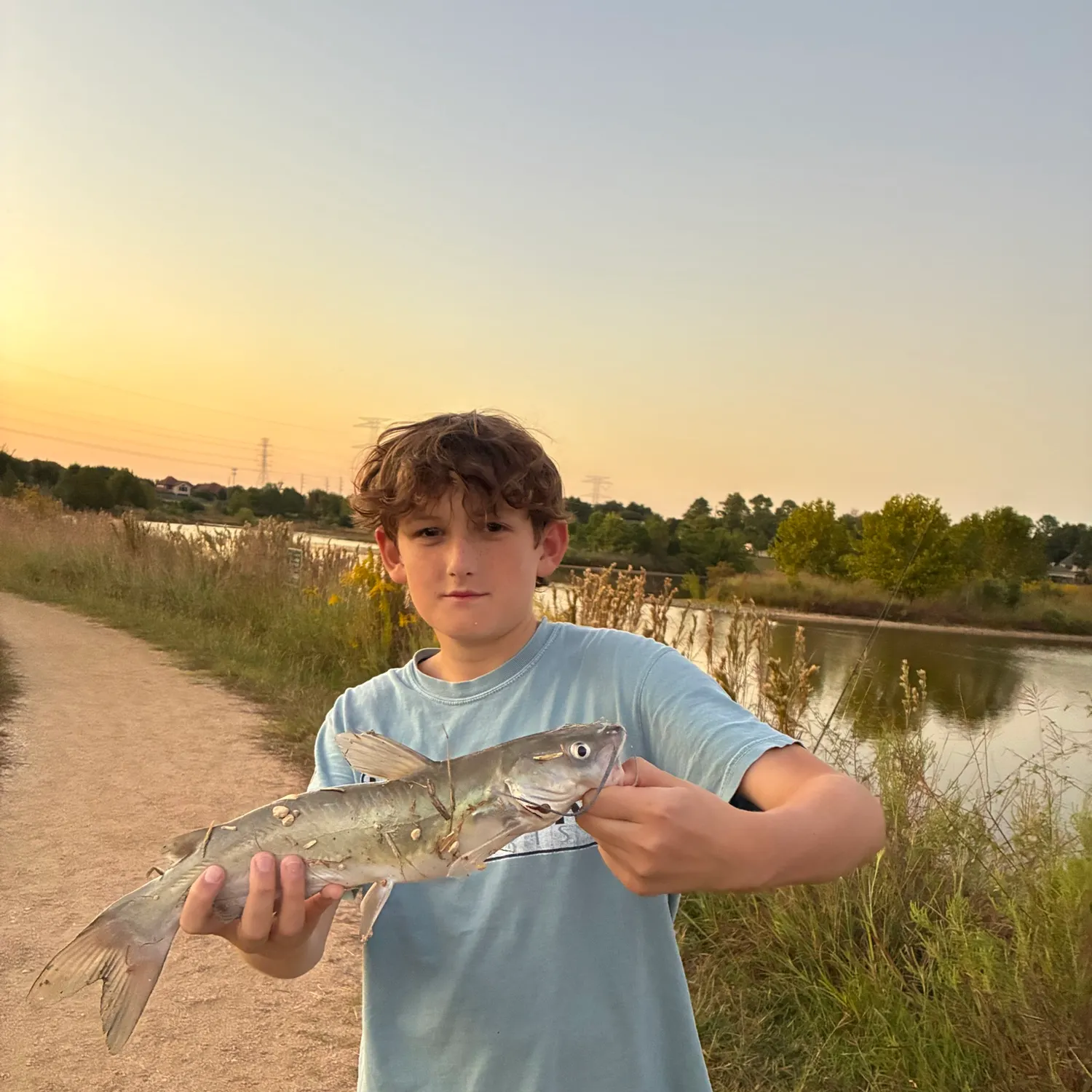Channel catfish caught on Fishbrain