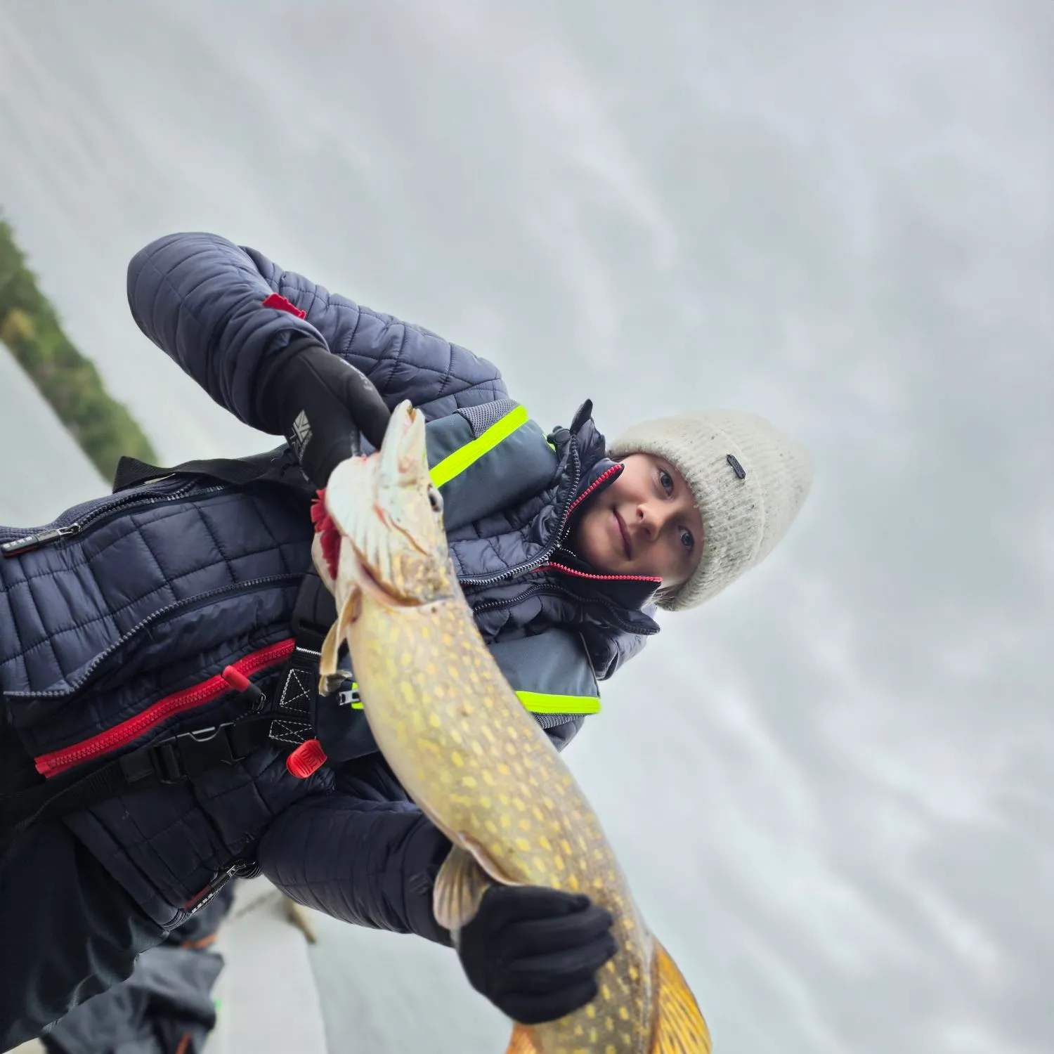 Northern pike caught on Fishbrain