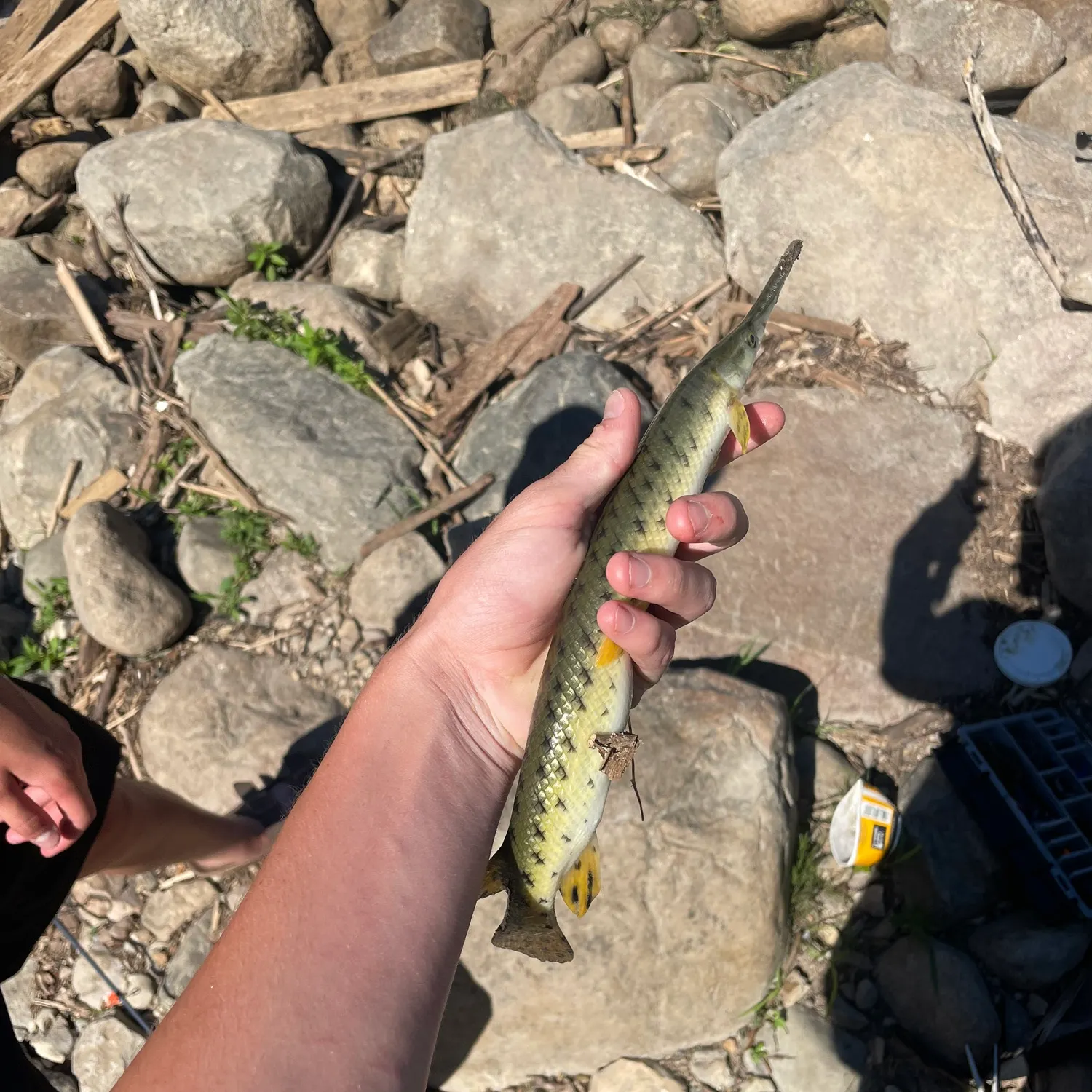 catch
