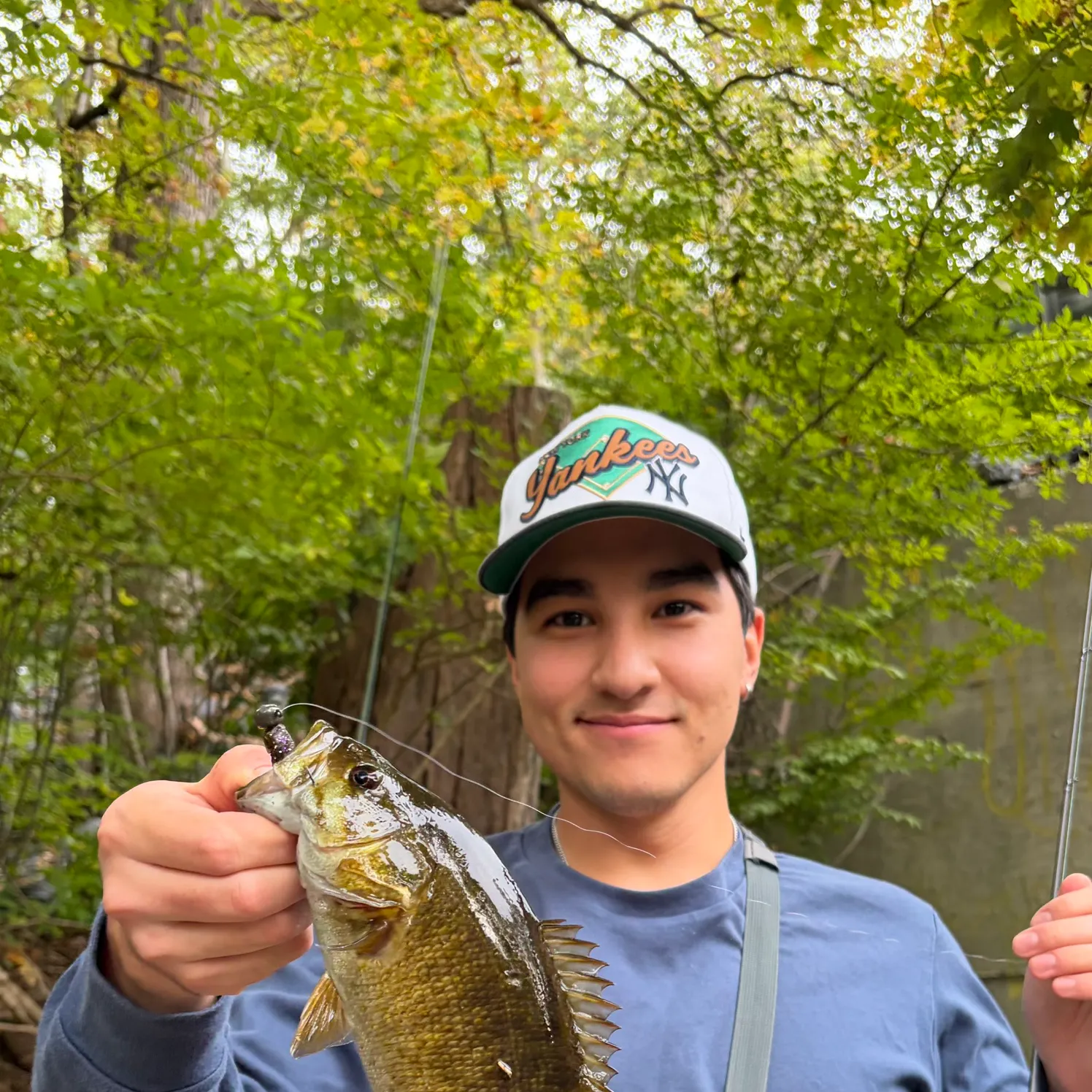 Smallmouth bass caught on Fishbrain