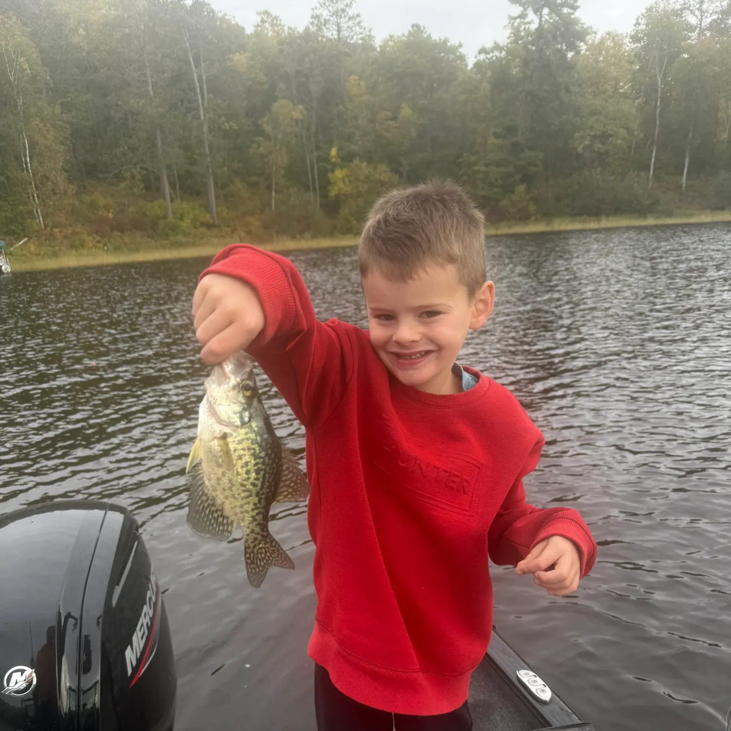Black crappie caught on Fishbrain