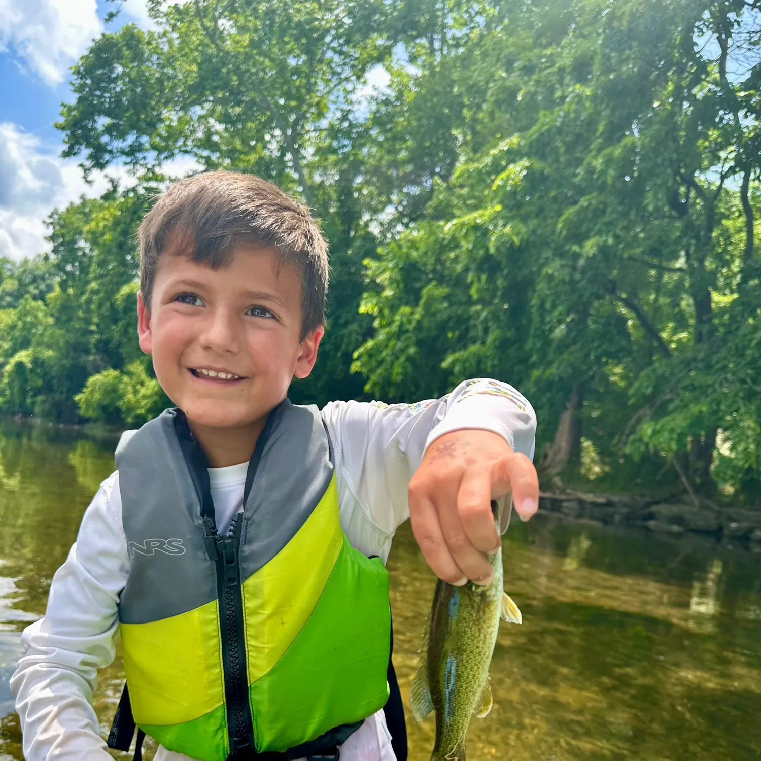 The most recent Neosho bass catches on Fishbrain
