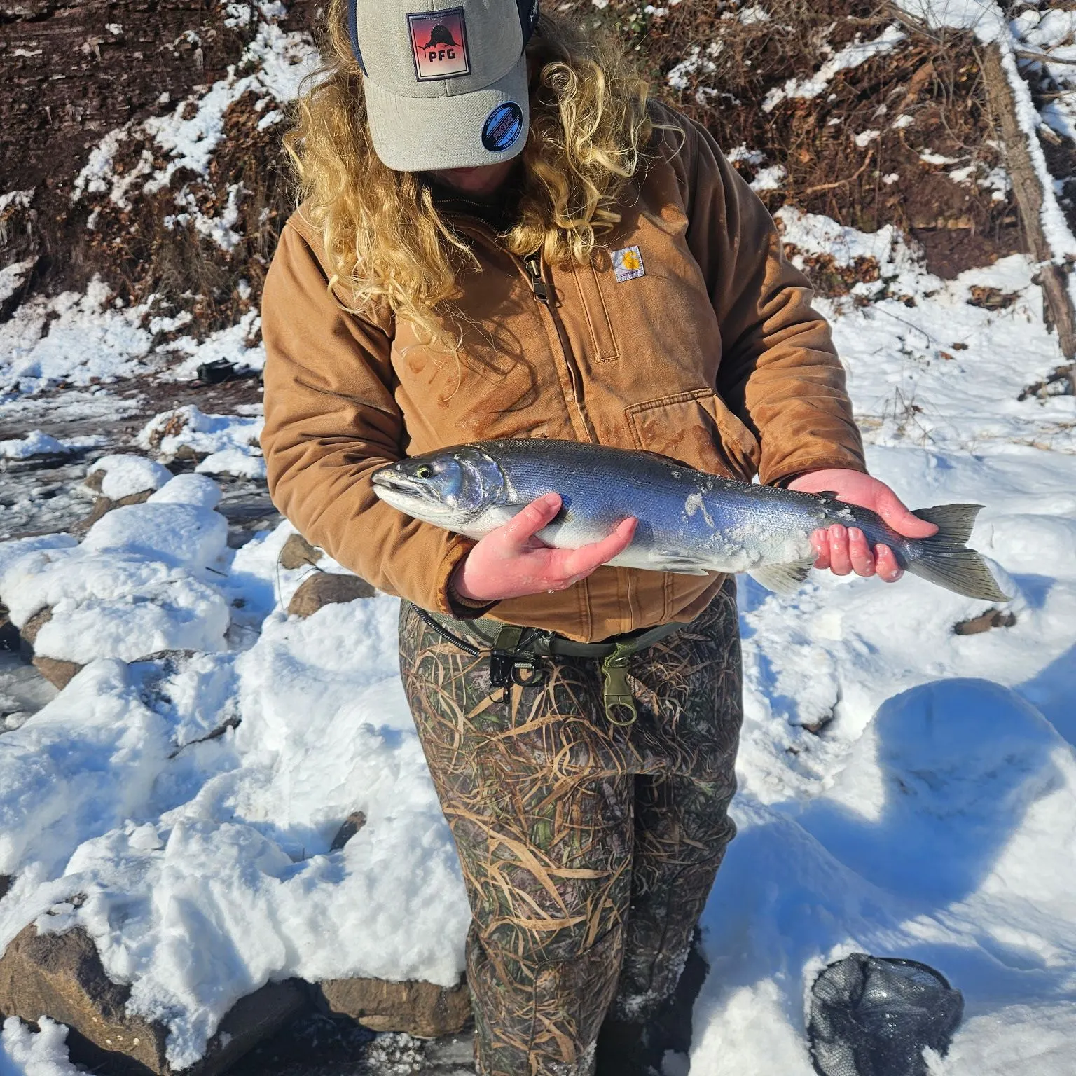 The most recent Steelhead catches on Fishbrain