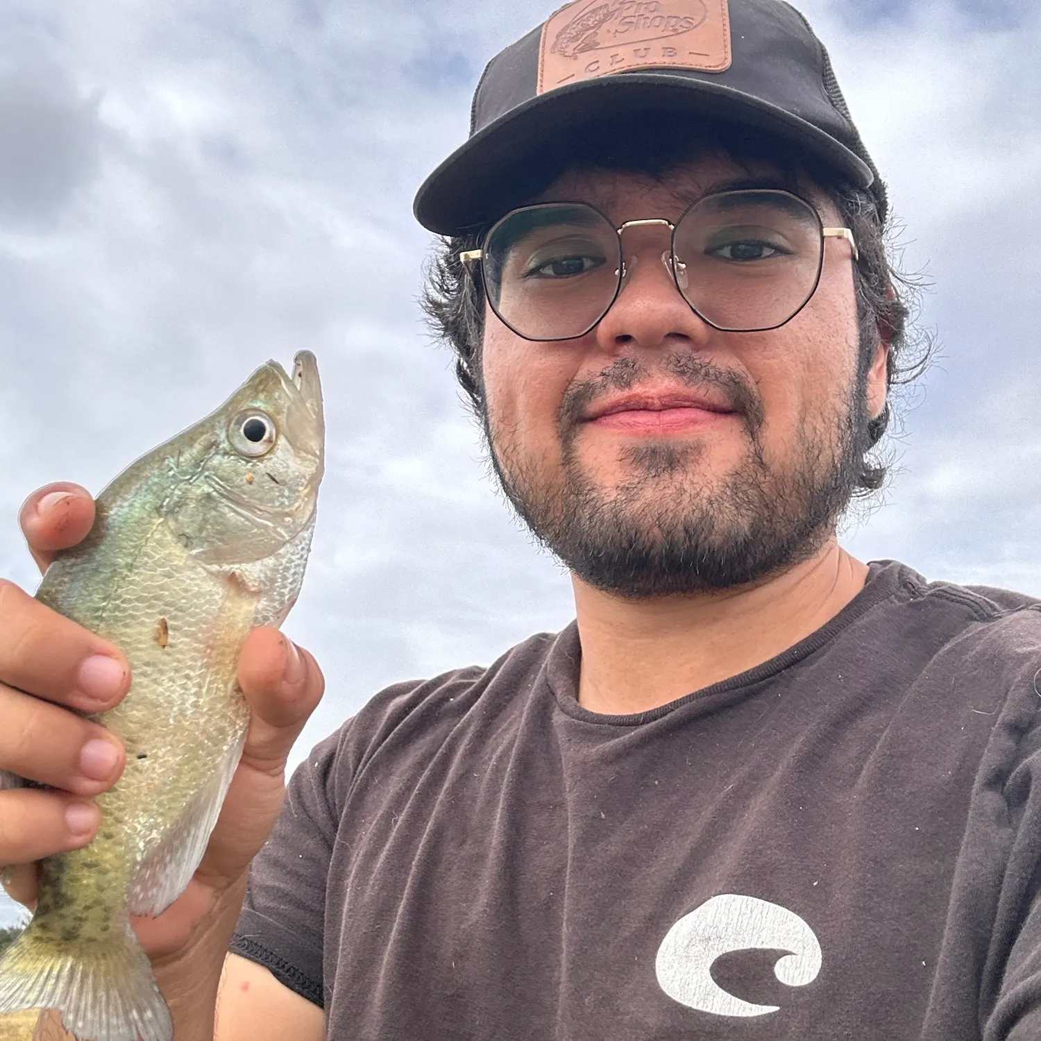 White crappie caught on Fishbrain