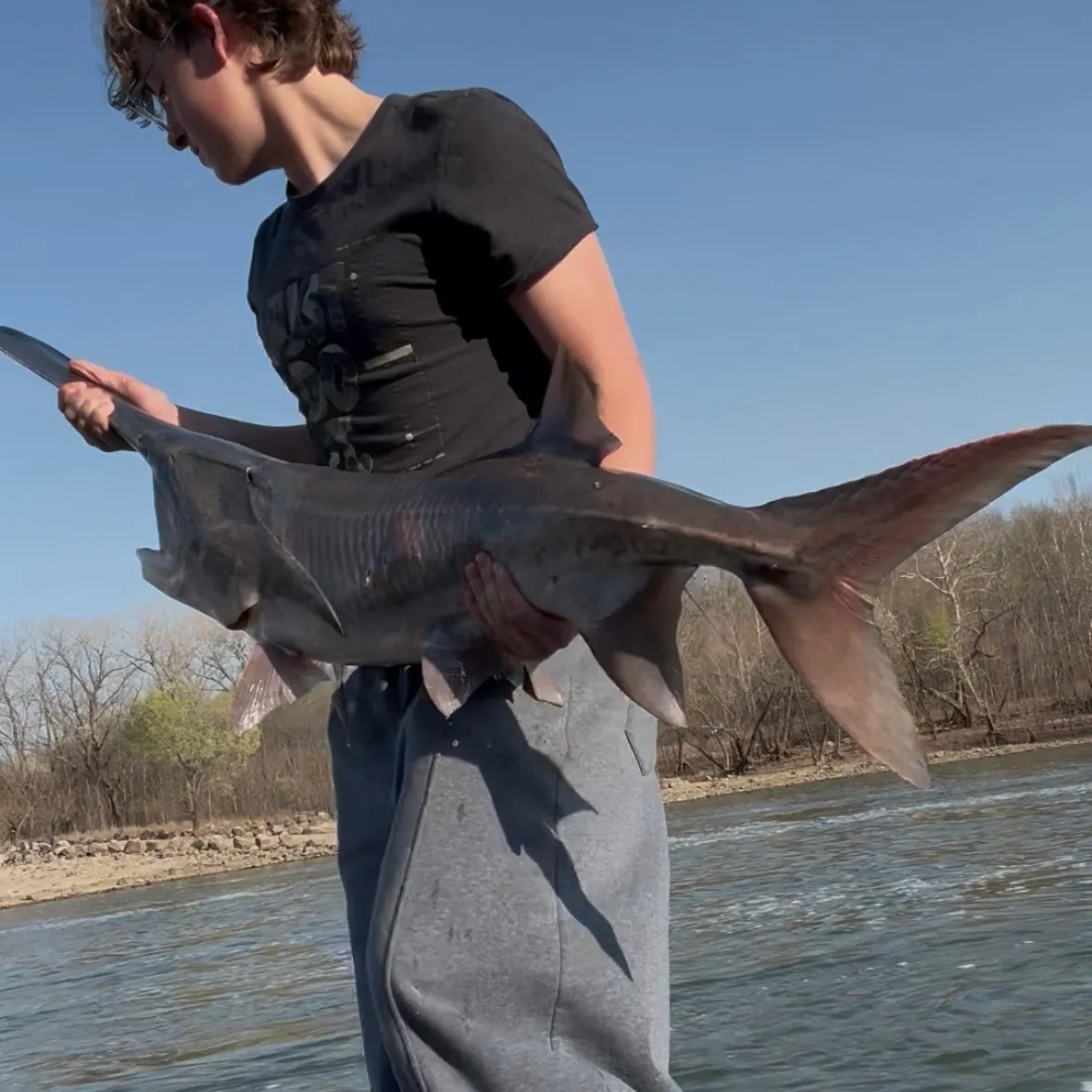 The most recent Paddlefish catches on Fishbrain