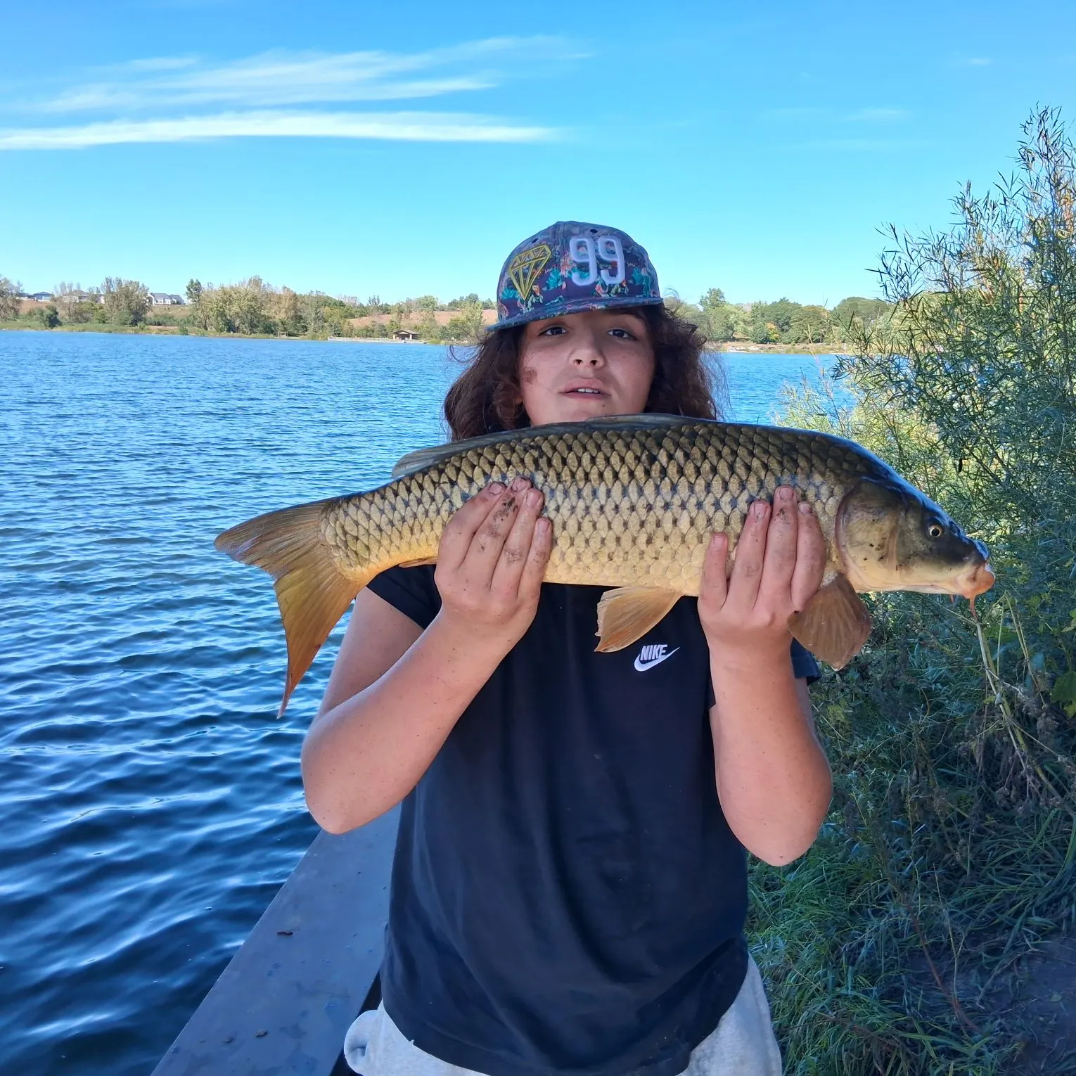 Common carp caught on Fishbrain
