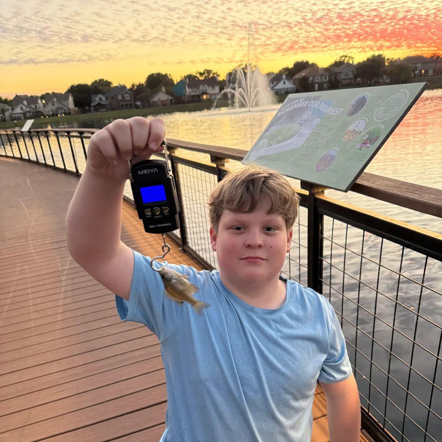 Bluegill caught on Fishbrain