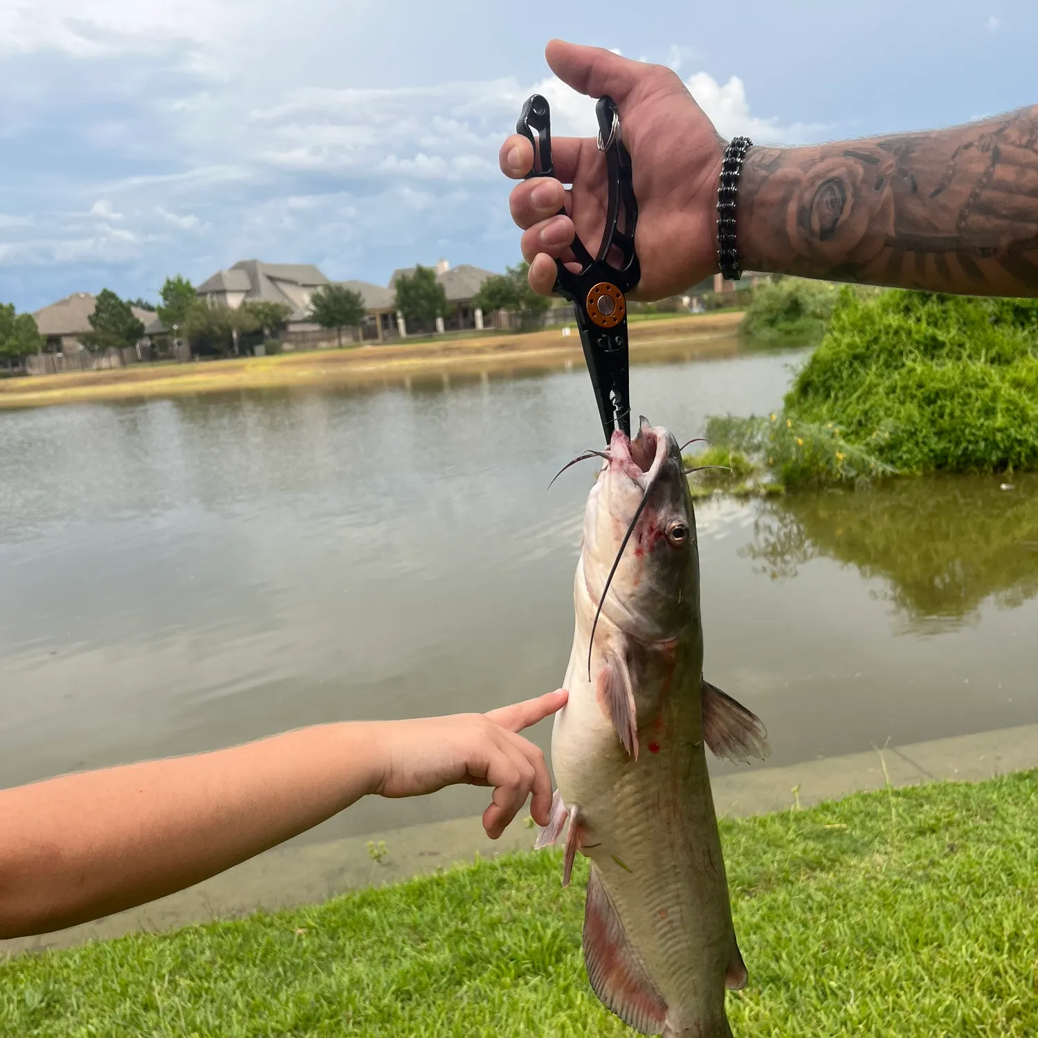 catch