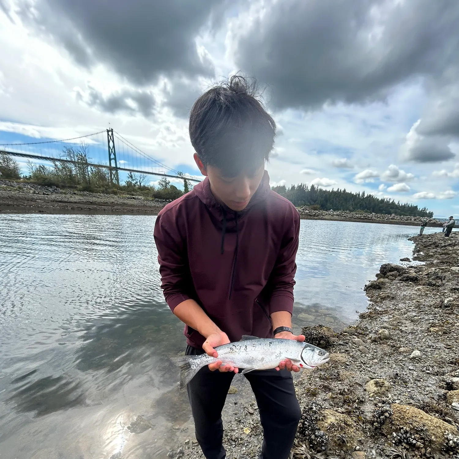Coho salmon caught on Fishbrain