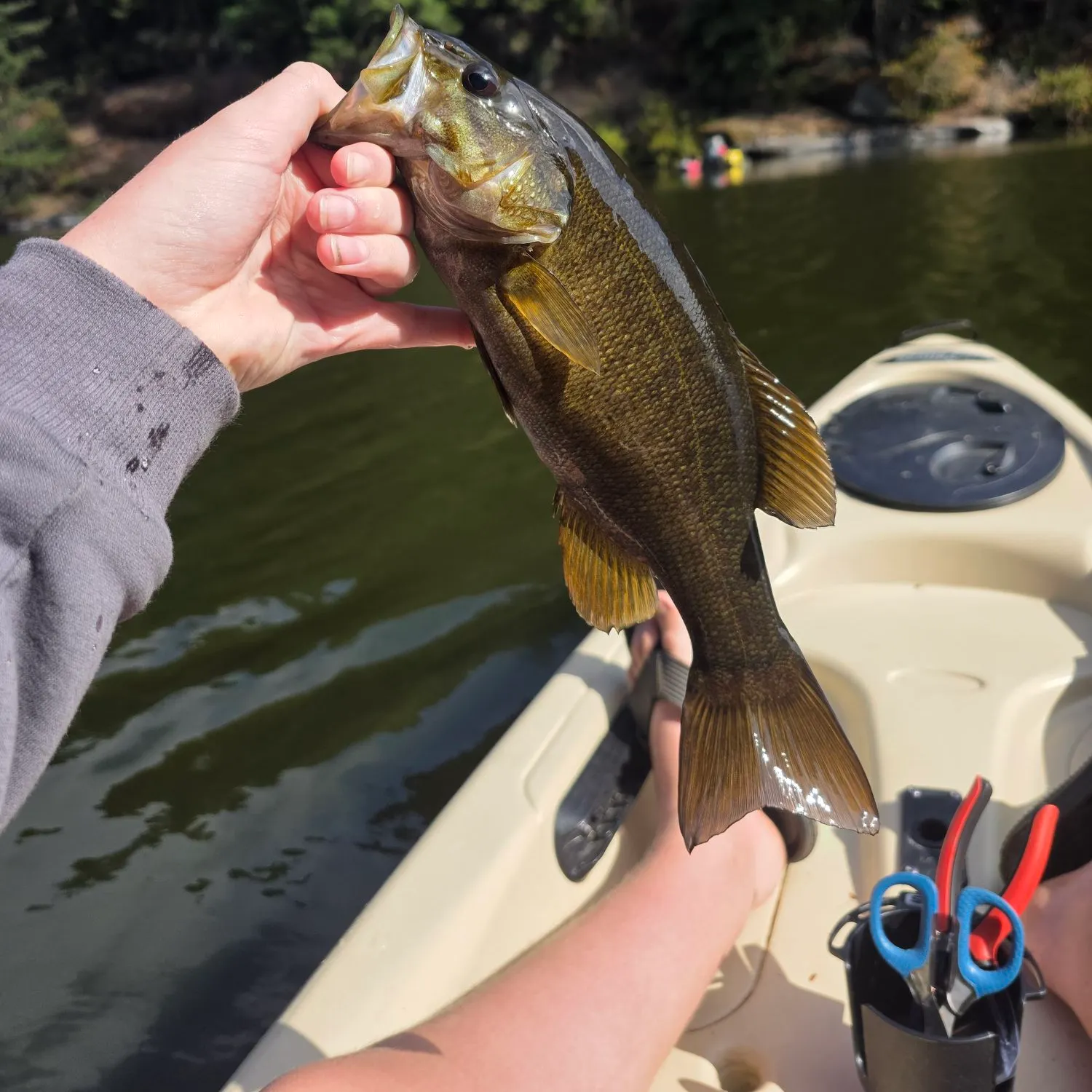 Smallmouth bass caught on Fishbrain