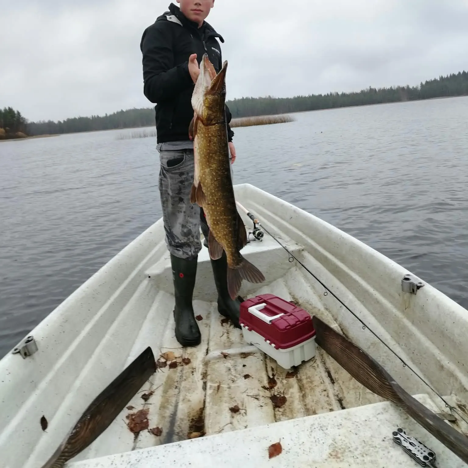 Northern pike caught on Fishbrain