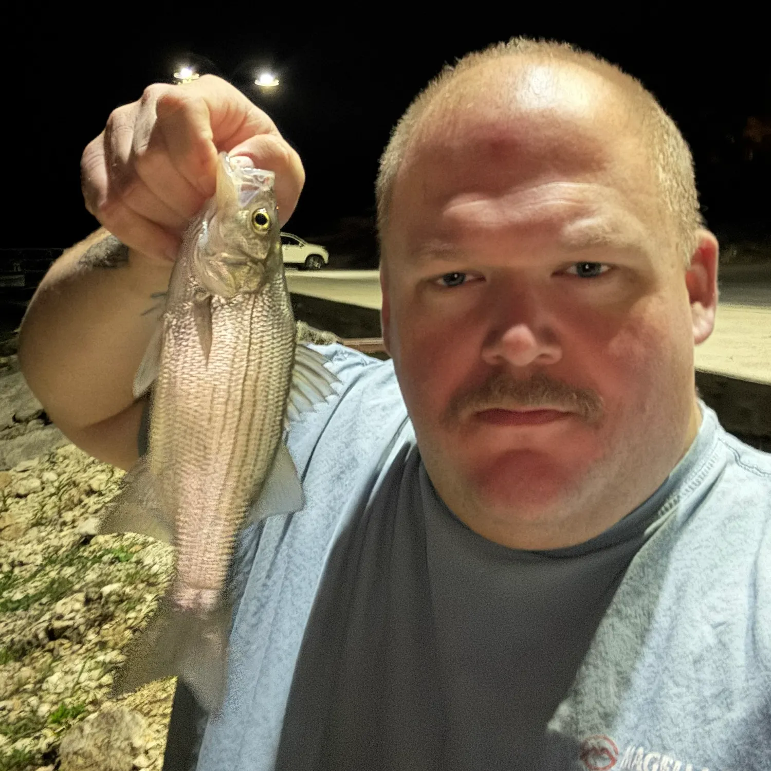 The most recent White bass catches on Fishbrain