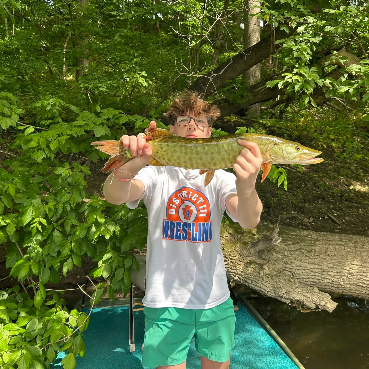 The most recent Muskellunge catches on Fishbrain