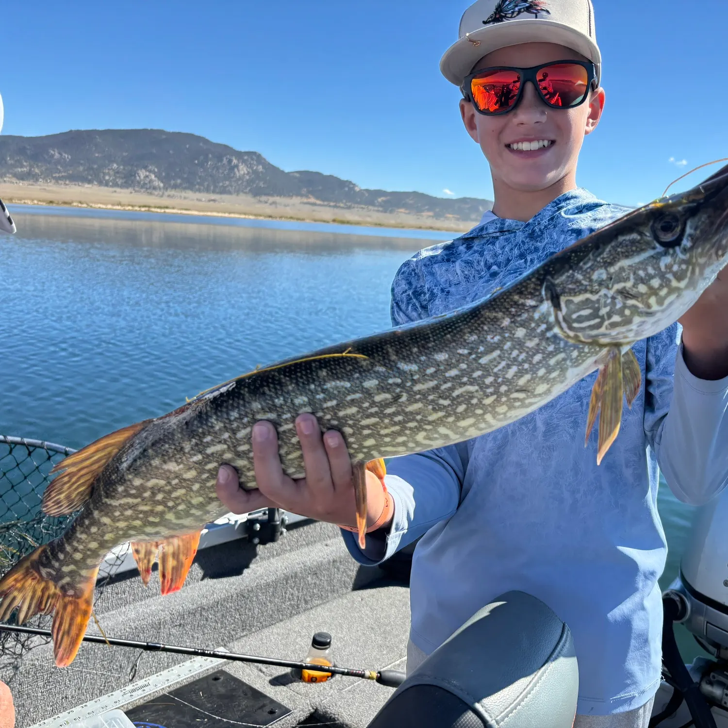 Northern pike caught on Fishbrain