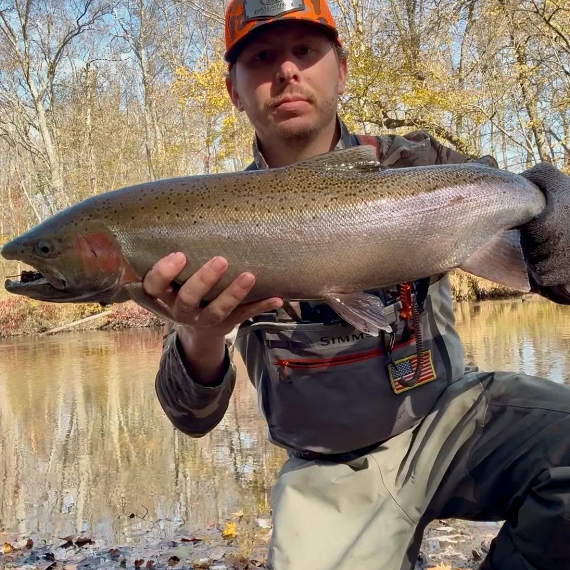 Steelhead caught on Fishbrain