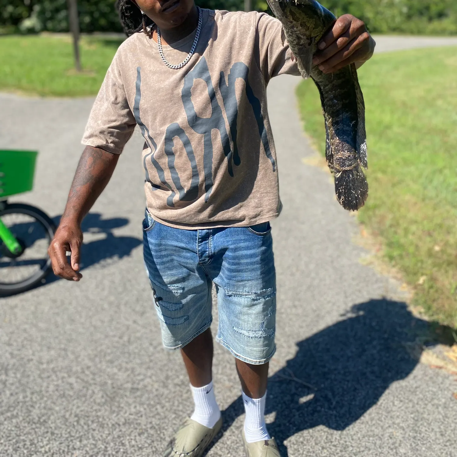 Northern snakehead caught on Fishbrain