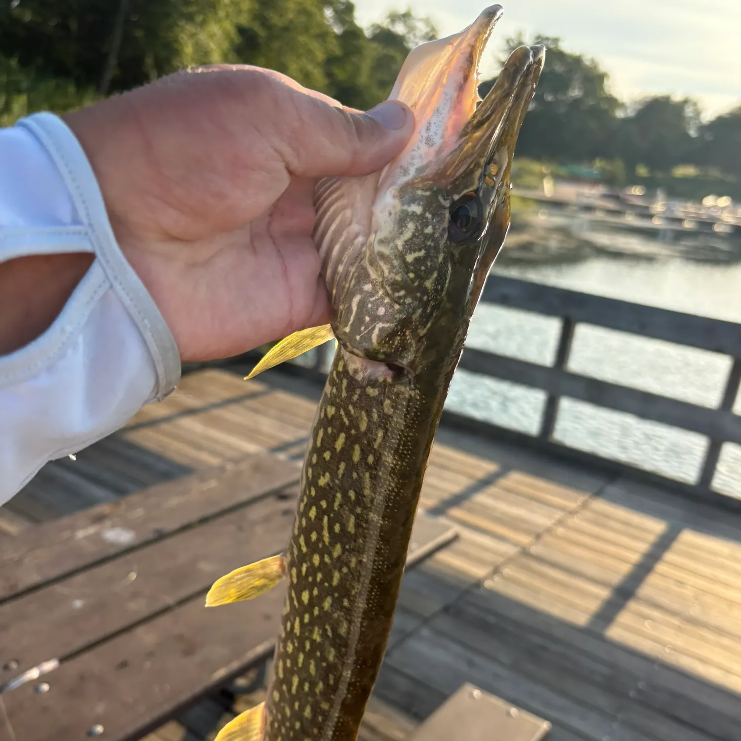 catch