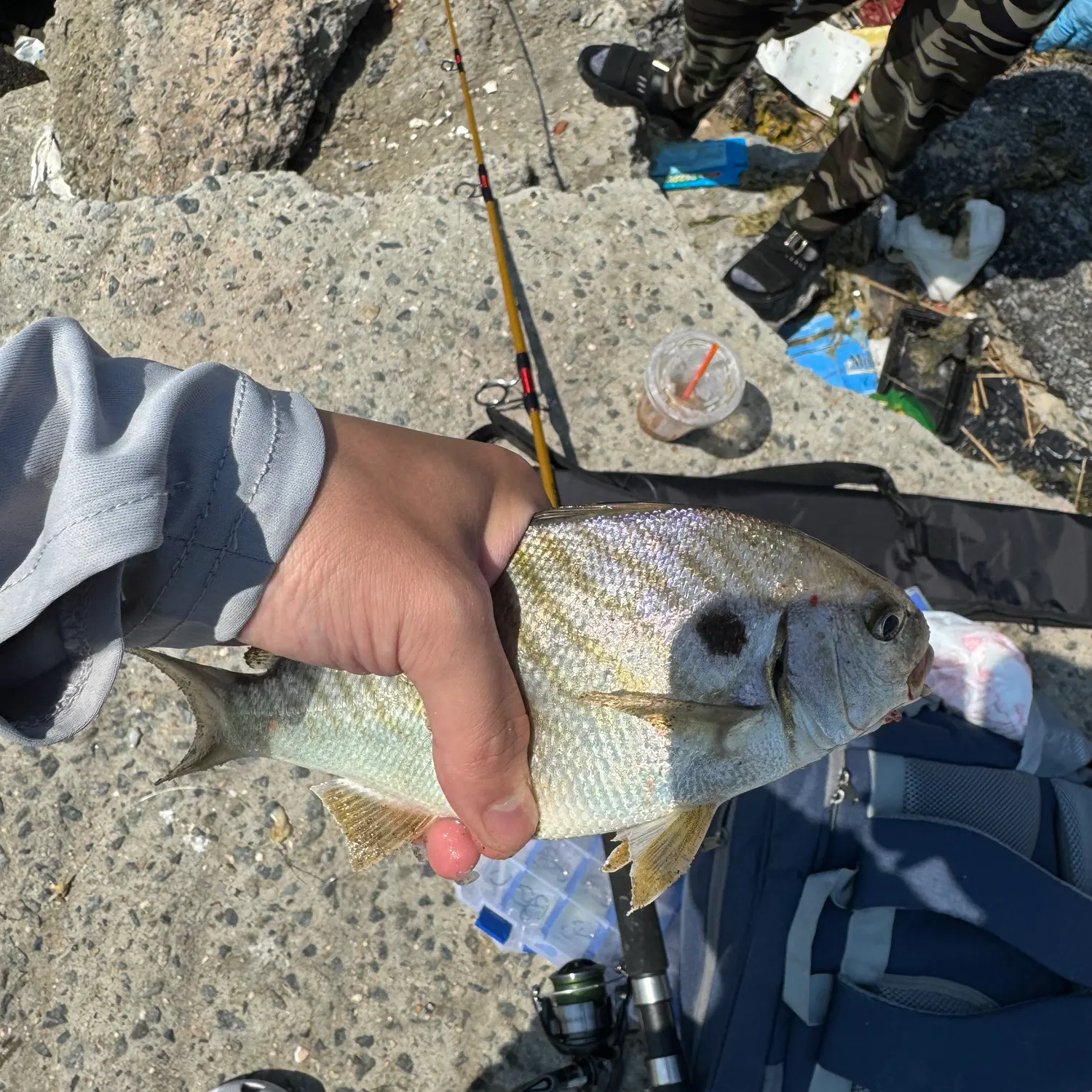 catch