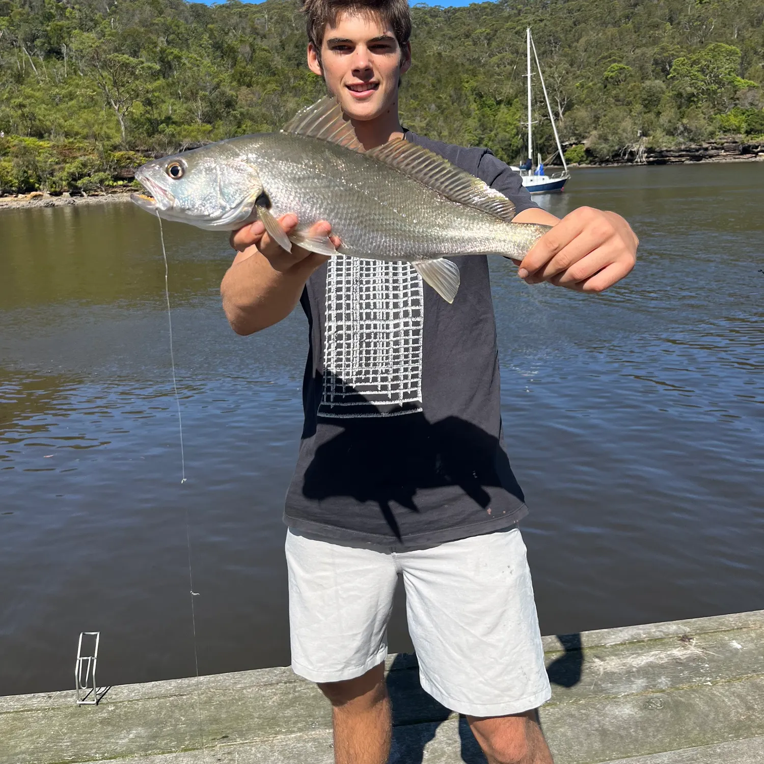 The most recent Japanese meagre catches on Fishbrain