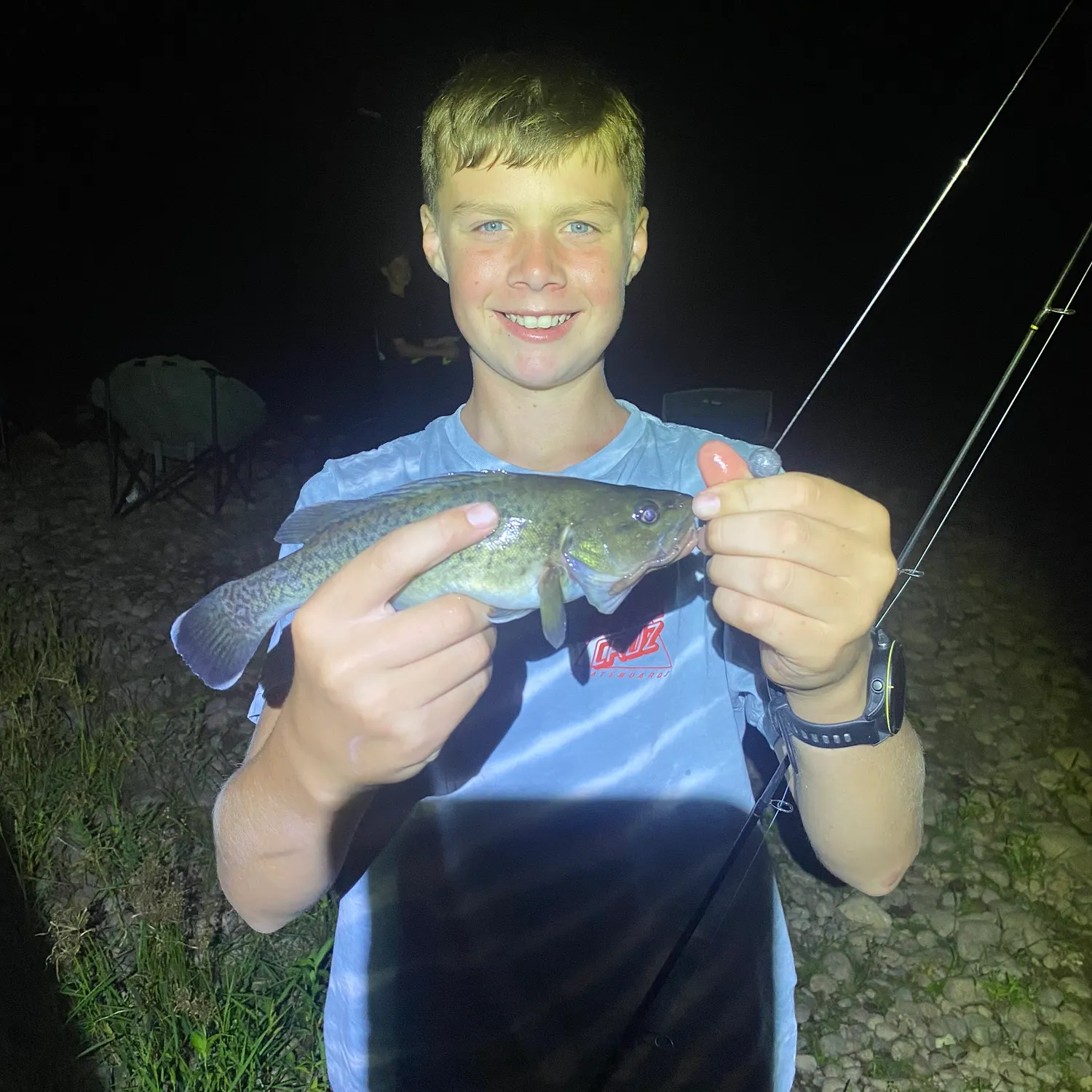 The most recent Trout cod catches on Fishbrain