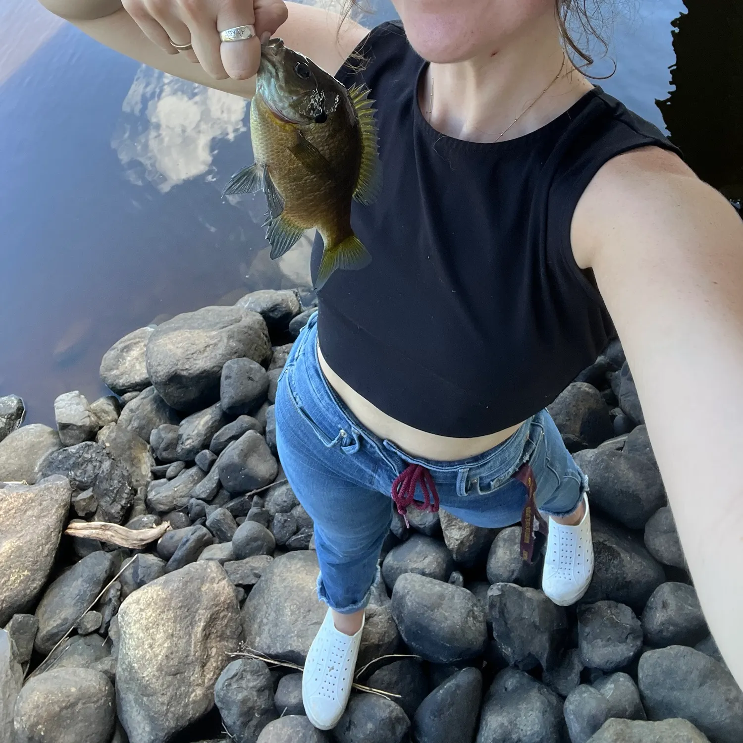 Bluegill caught on Fishbrain