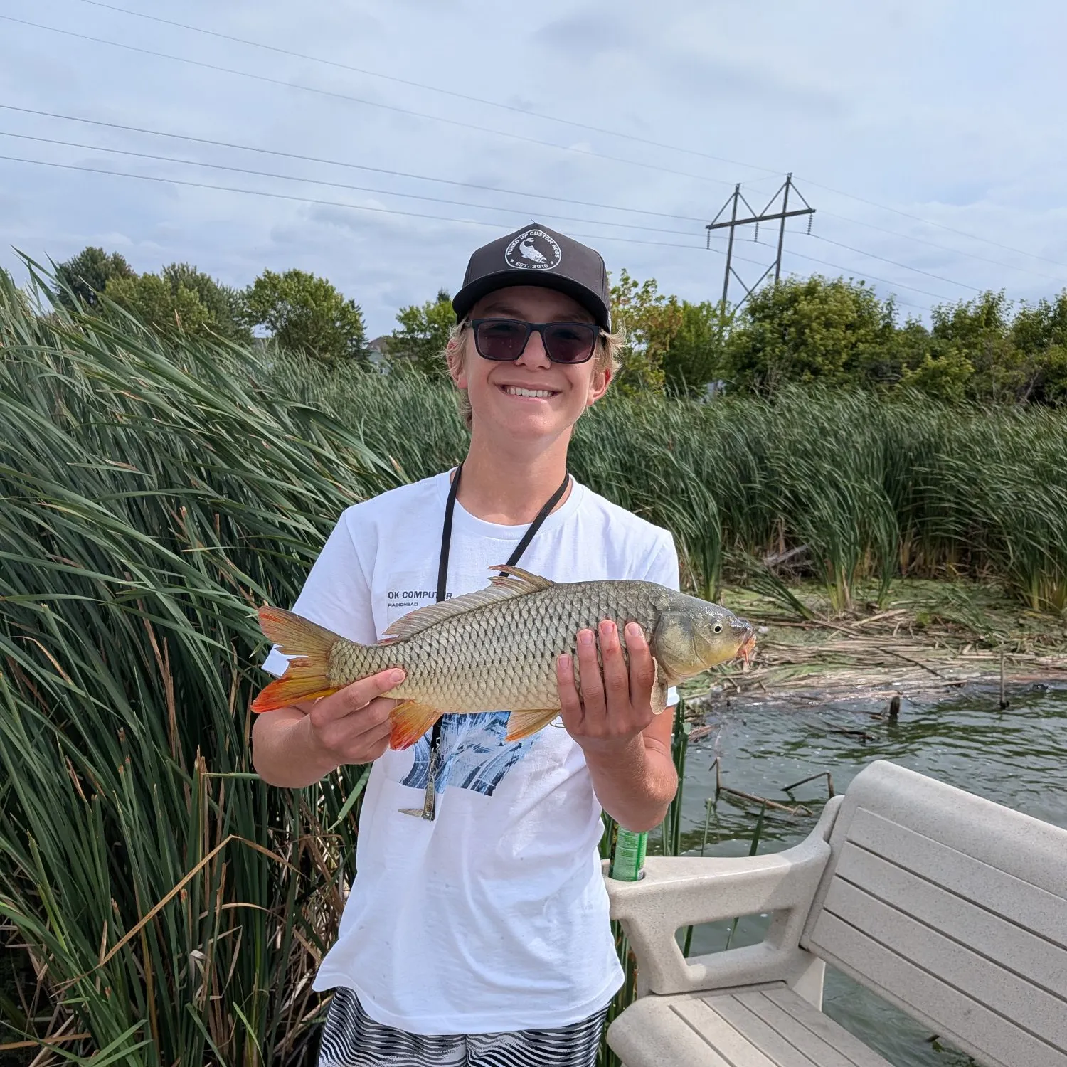 Common carp caught on Fishbrain