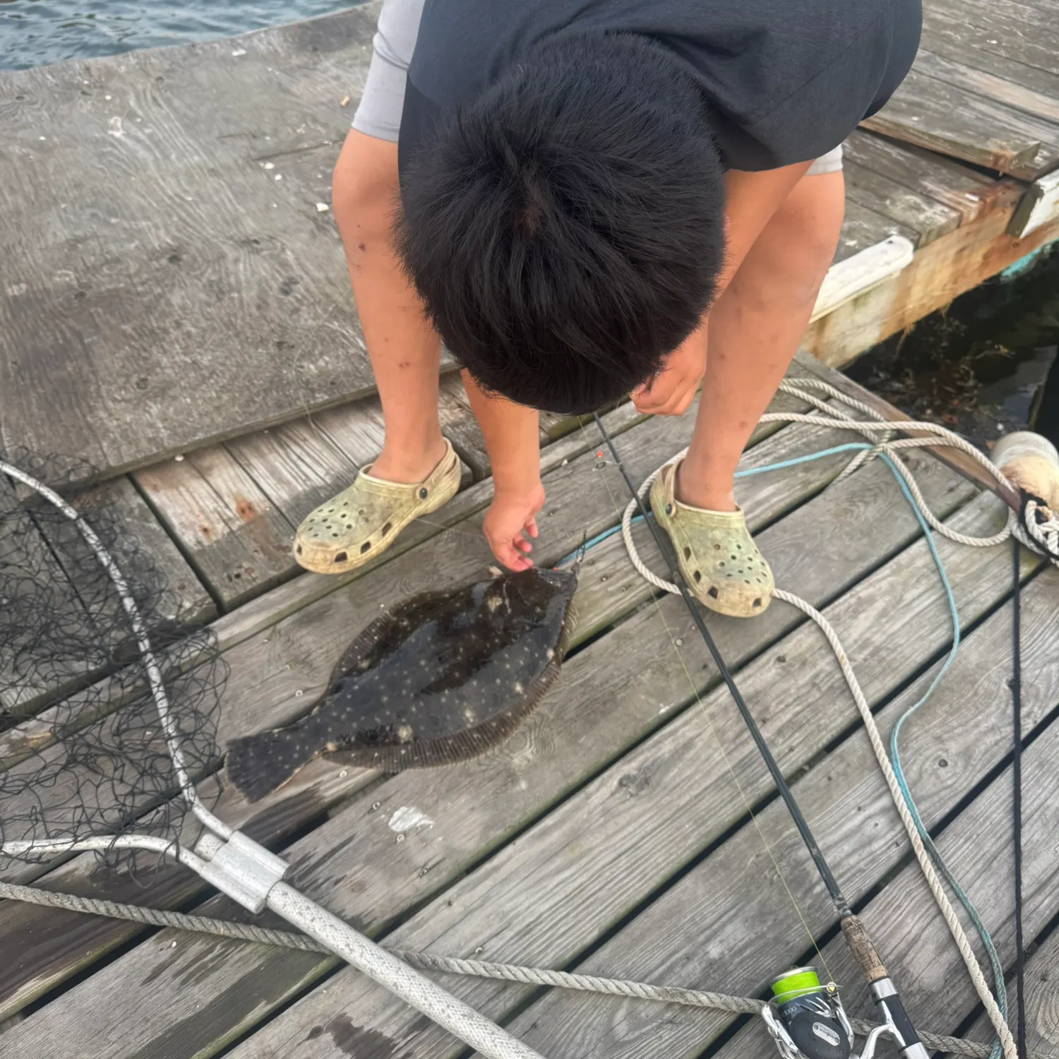 Summer flounder caught on Fishbrain