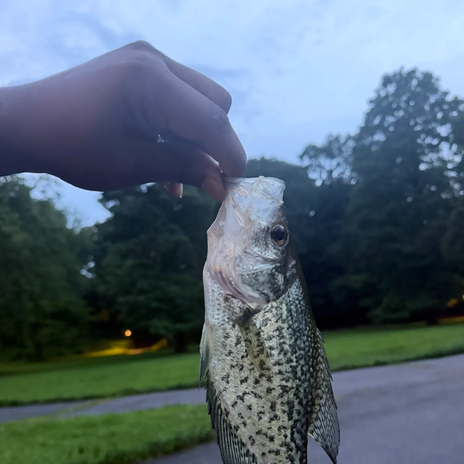 catch